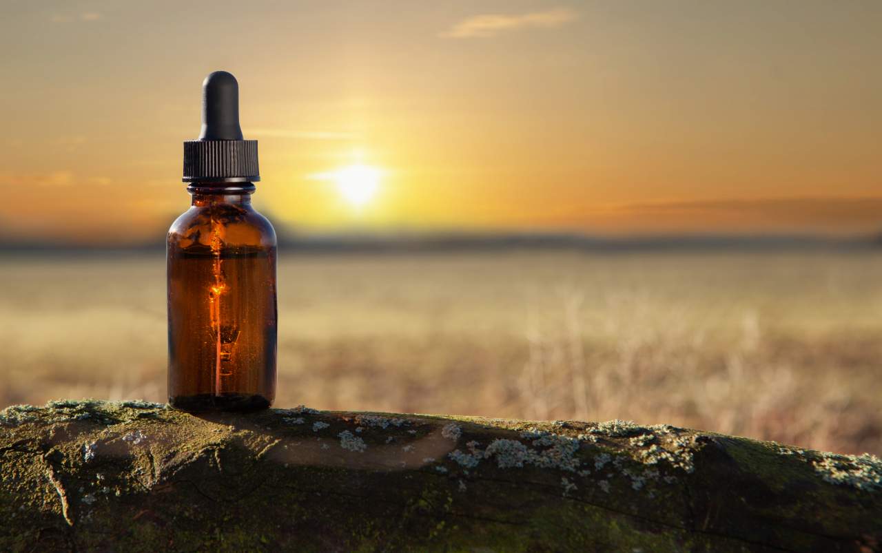 Las propiedades de Elixir Yatamansi que tanto éxito tiene en las redes