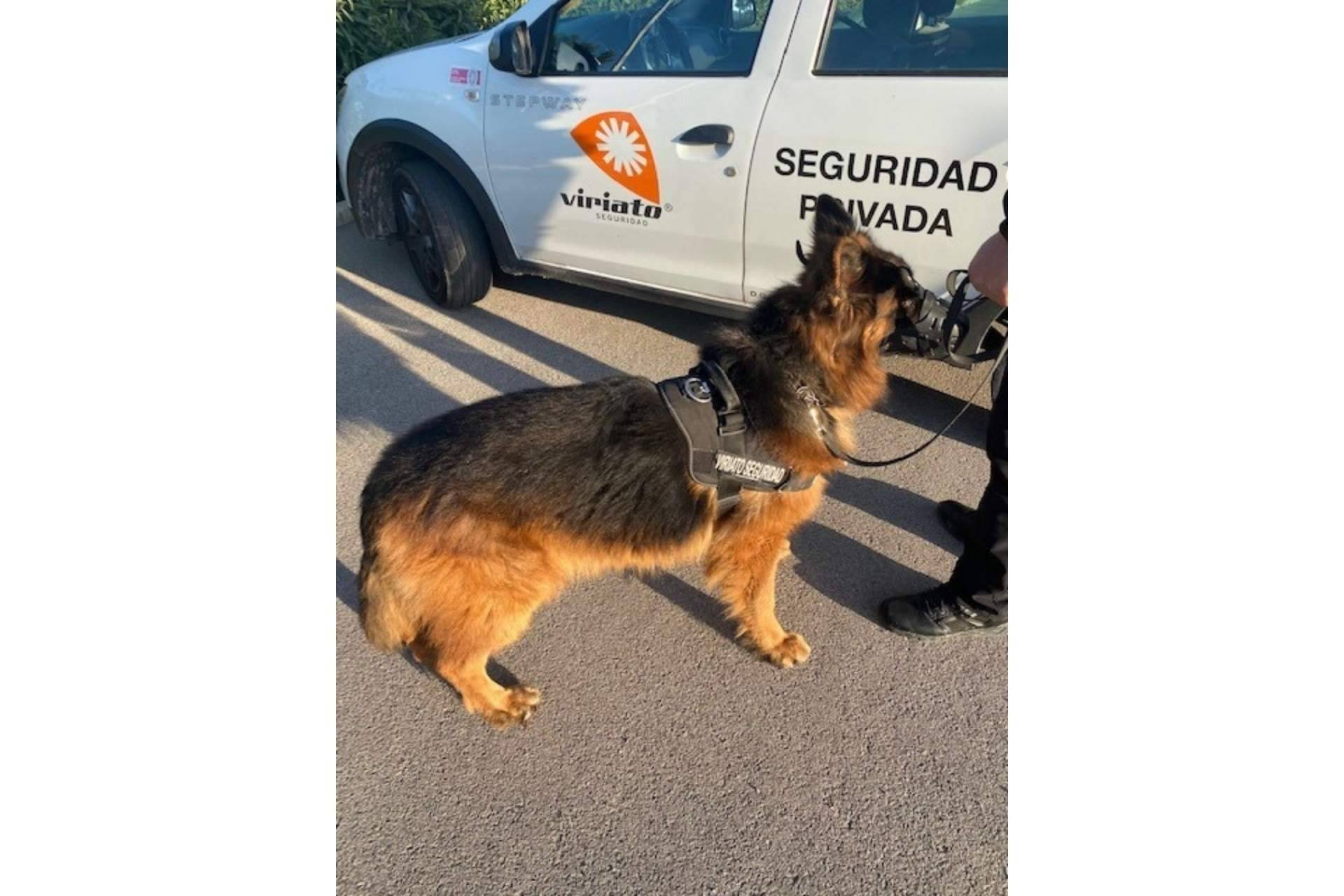 Viriato Seguridad, empresa de referencia en el sector de la seguridad gracias a sus servicios de vigilancia de alta calidad