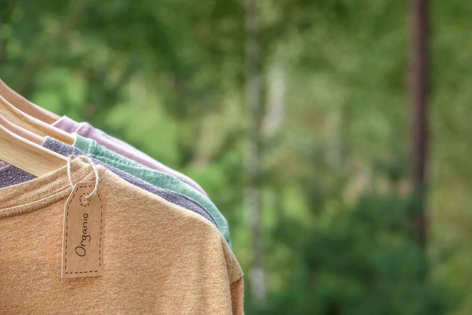 La apuesta por las marcas más punteras de Who killed Bambi?