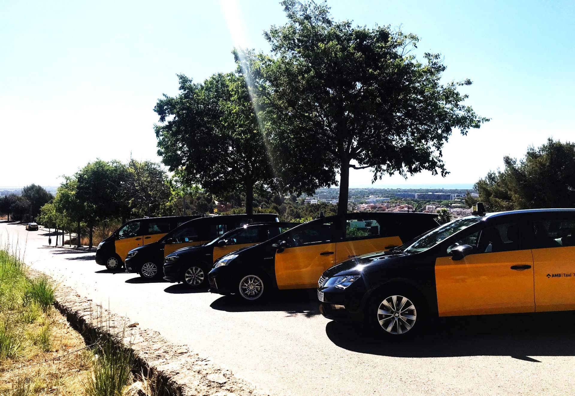 Tras la pandemia, las empresas como Taxi Castelldefels recuperan su actividad de servicios de taxis