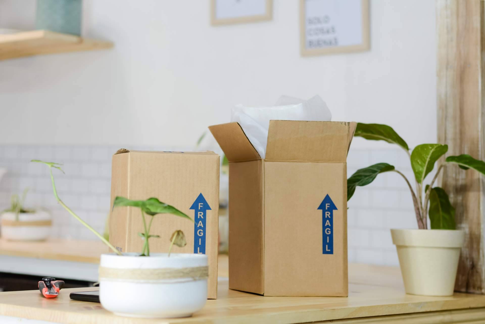 Tiendetea refuerza el servicio de los comercios con su logística