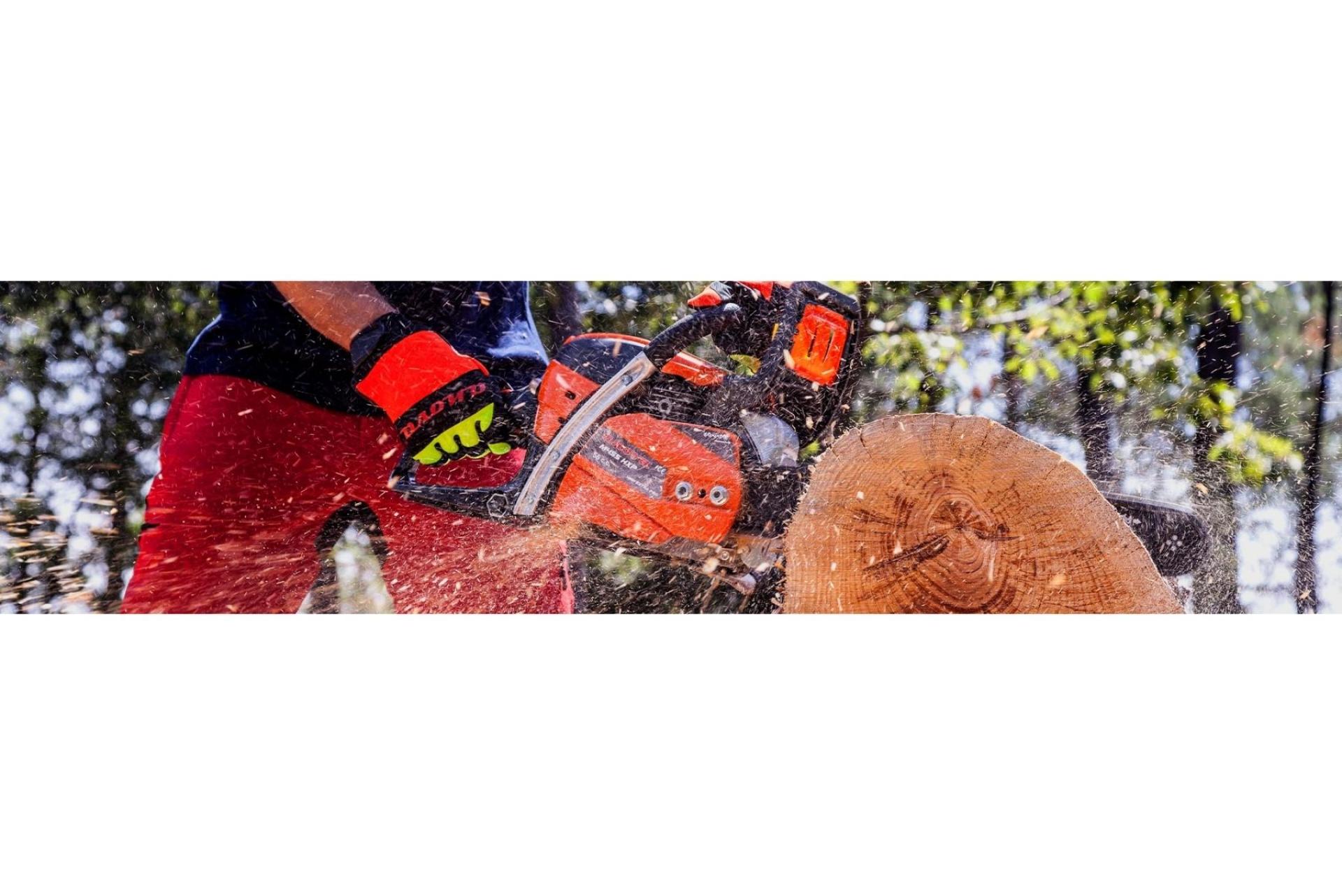 Gran variedad de motosierras Anova a precios rebajados en la tienda Todo Bosque y Jardín