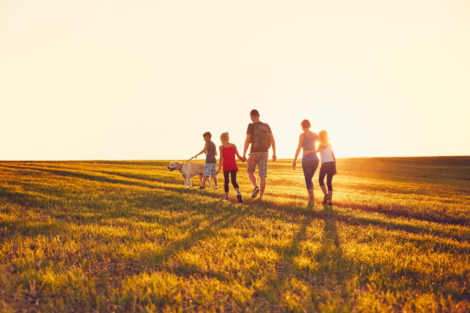 Una de las mejores opciones de viaje para familias y amigos es el turismo rural