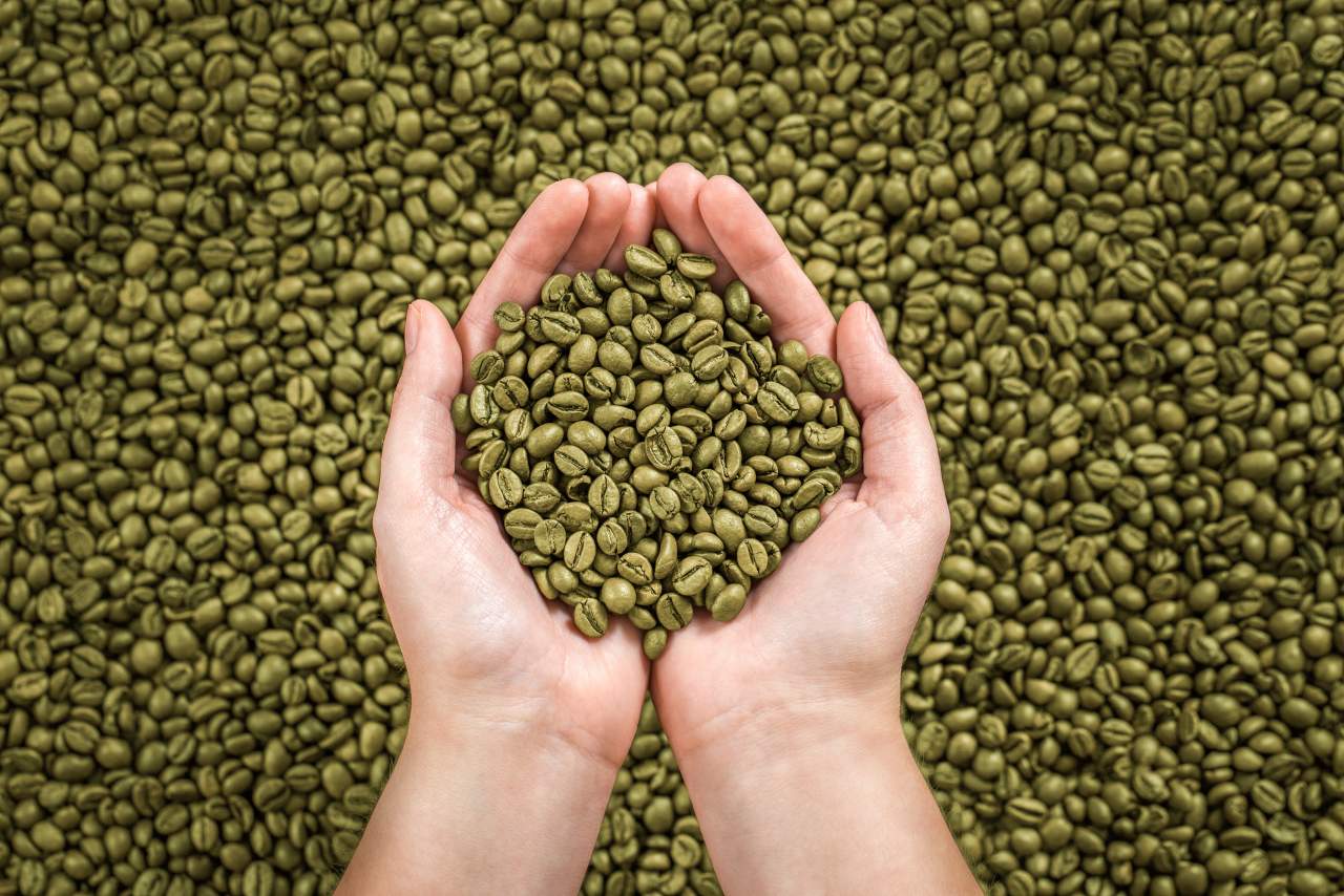 En Libis Coffee Roaster recomiendan la compra del café verde