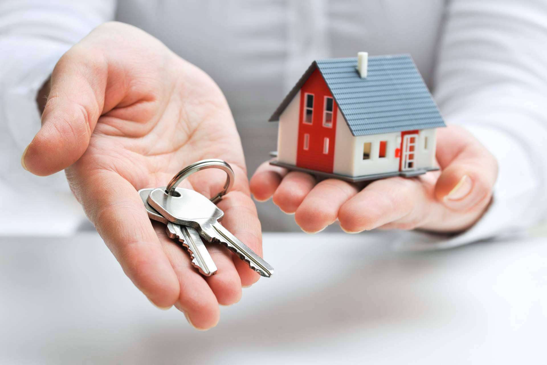 Best House, la referente en franquicias rentables