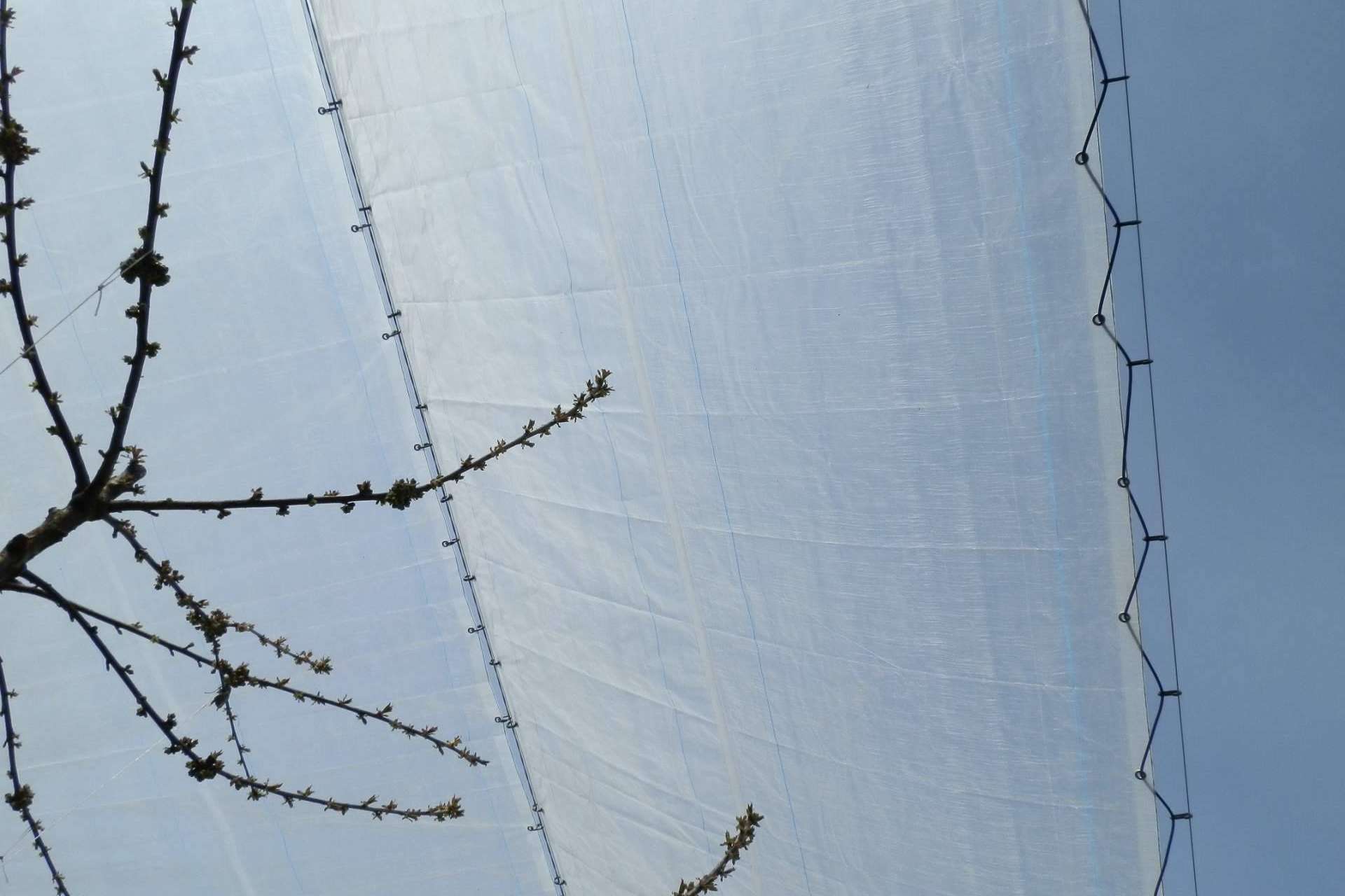 Agralia apuesta por la rentabilidad de la protección de cultivos mediante la tecnología AGRICOVER