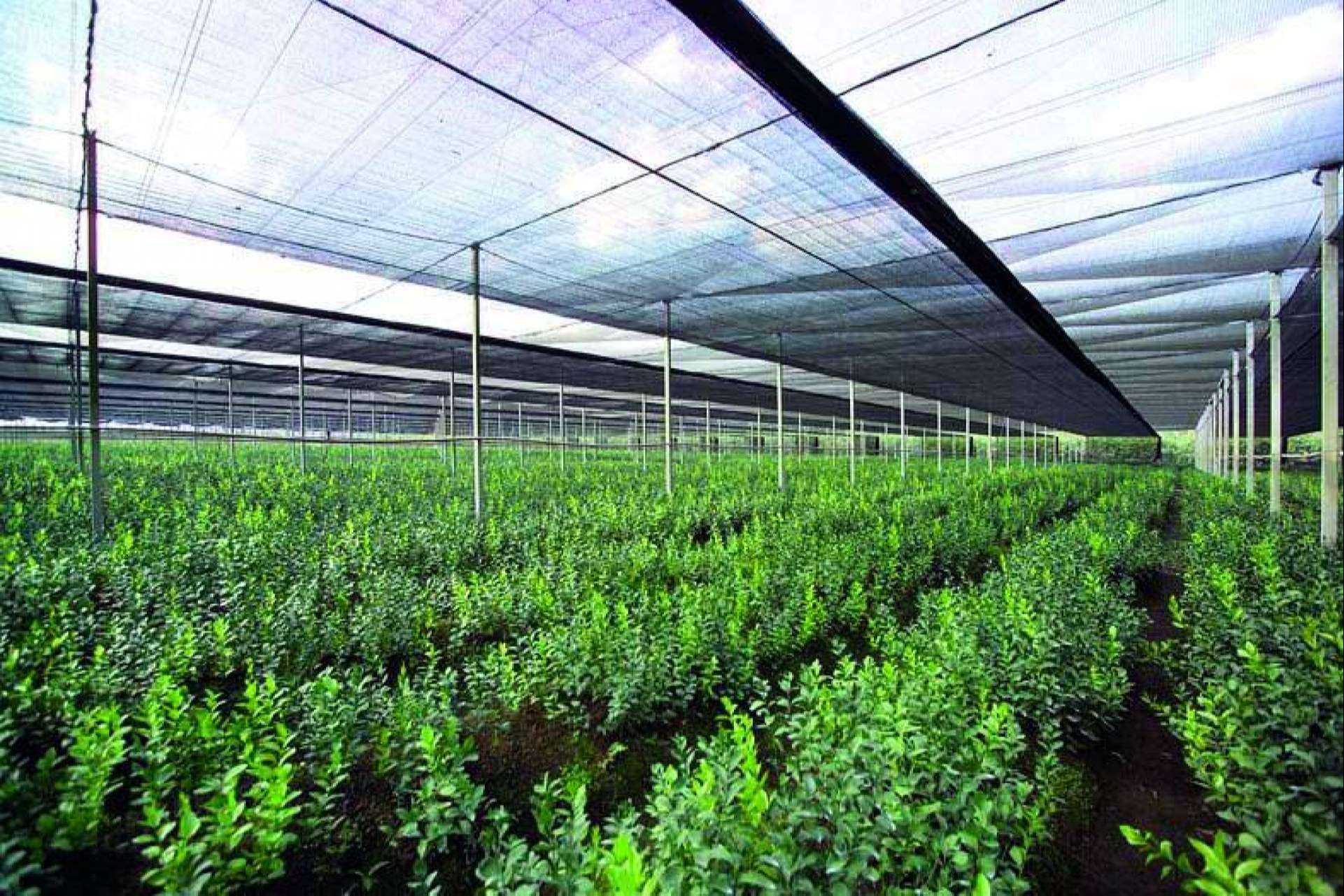 El gran paquete tecnológico de Agralia: AGRICOVER