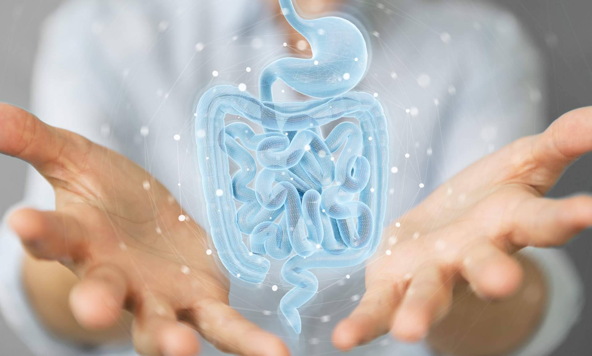 Tratamiento del SIBO y tratamiento del LIBO: uno de los máximos referentes profesionales del país ofrece sus claves para mejorar las tasas de éxito terapéutico