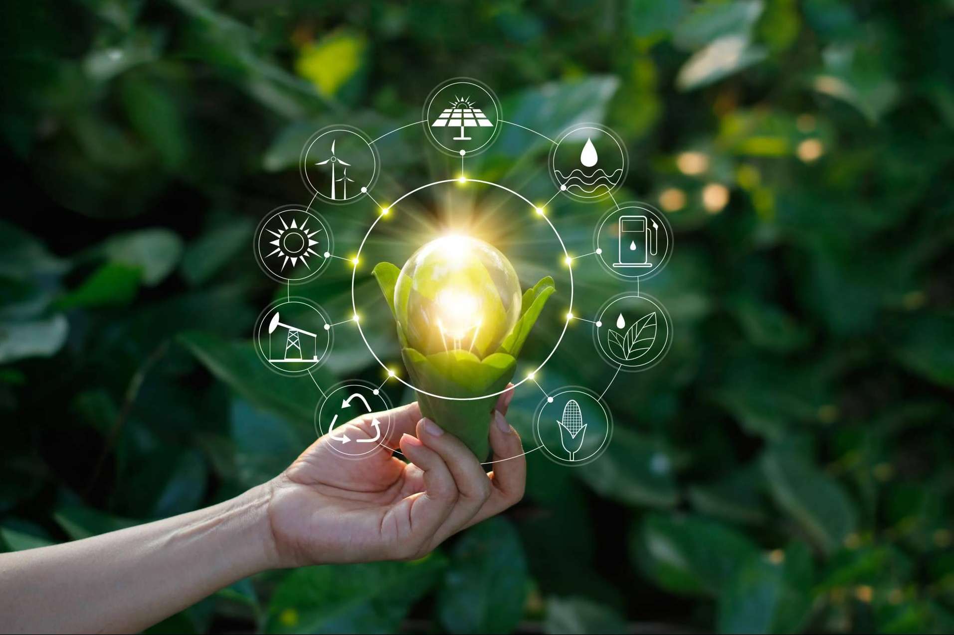 Hcebox es el software propio de Energybox que facilita las opciones de contratación de las empresas