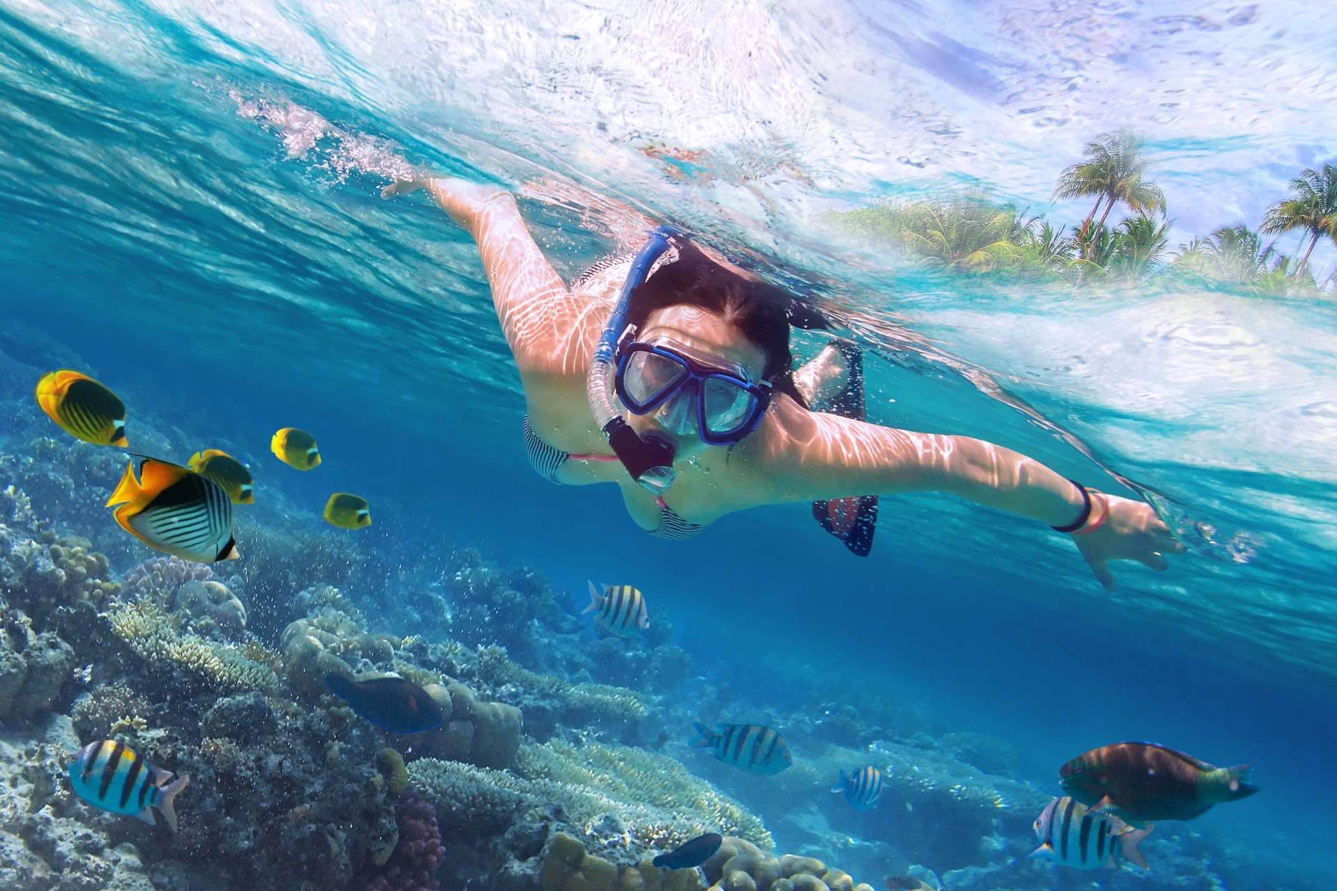 Felices Vacaciones ofrece múltiples ofertas al Caribe para los españoles que buscan el sol en los meses de invierno