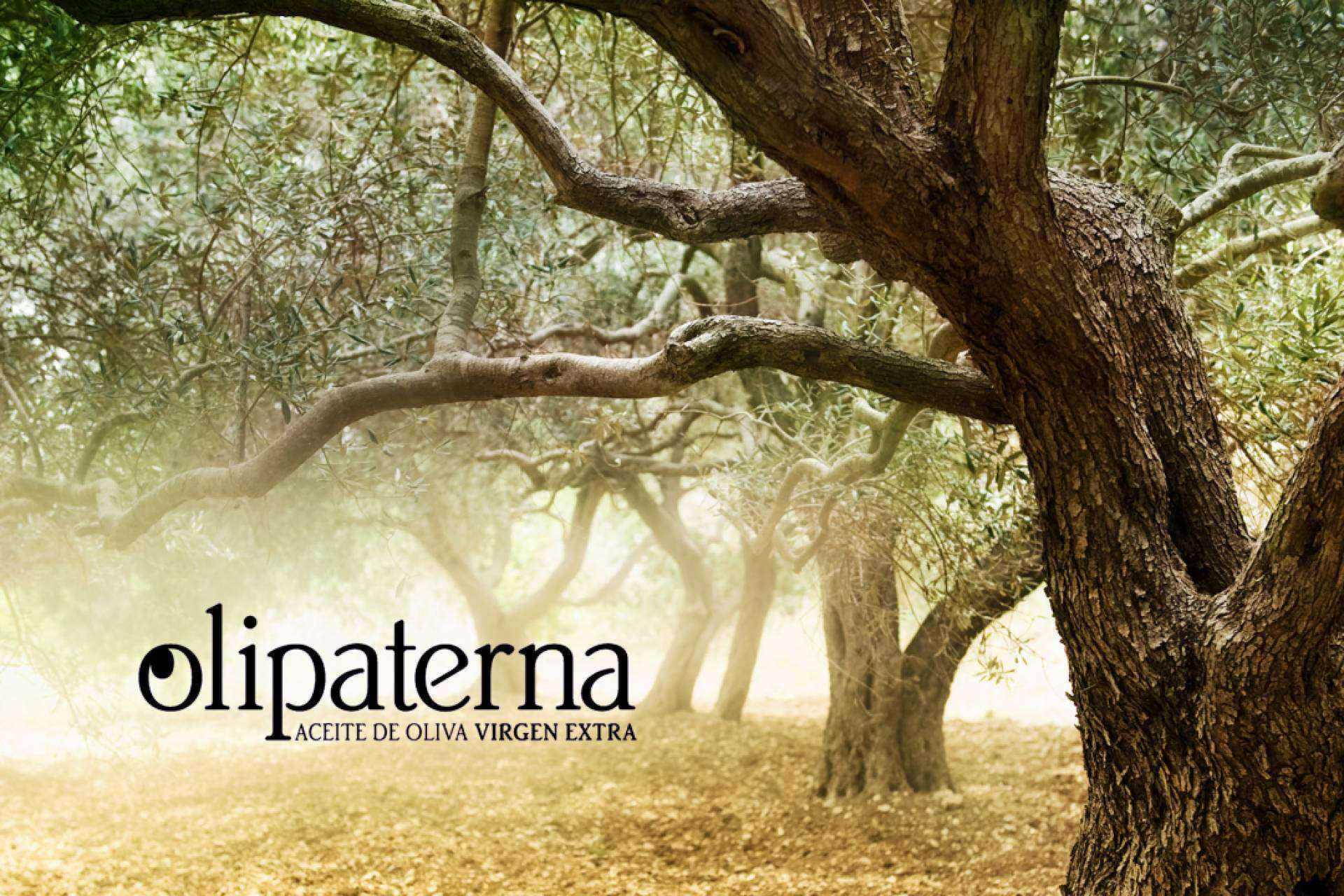 Olipaterna ofrece aceite de oliva virgen extra con una gran variedad de beneficios