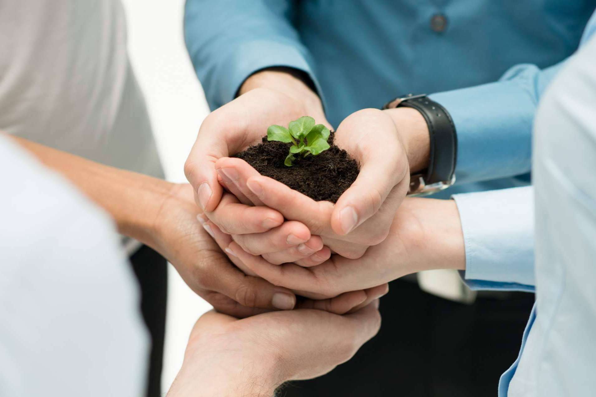 La importancia de la responsabilidad ambiental empresarial, por Ipostar