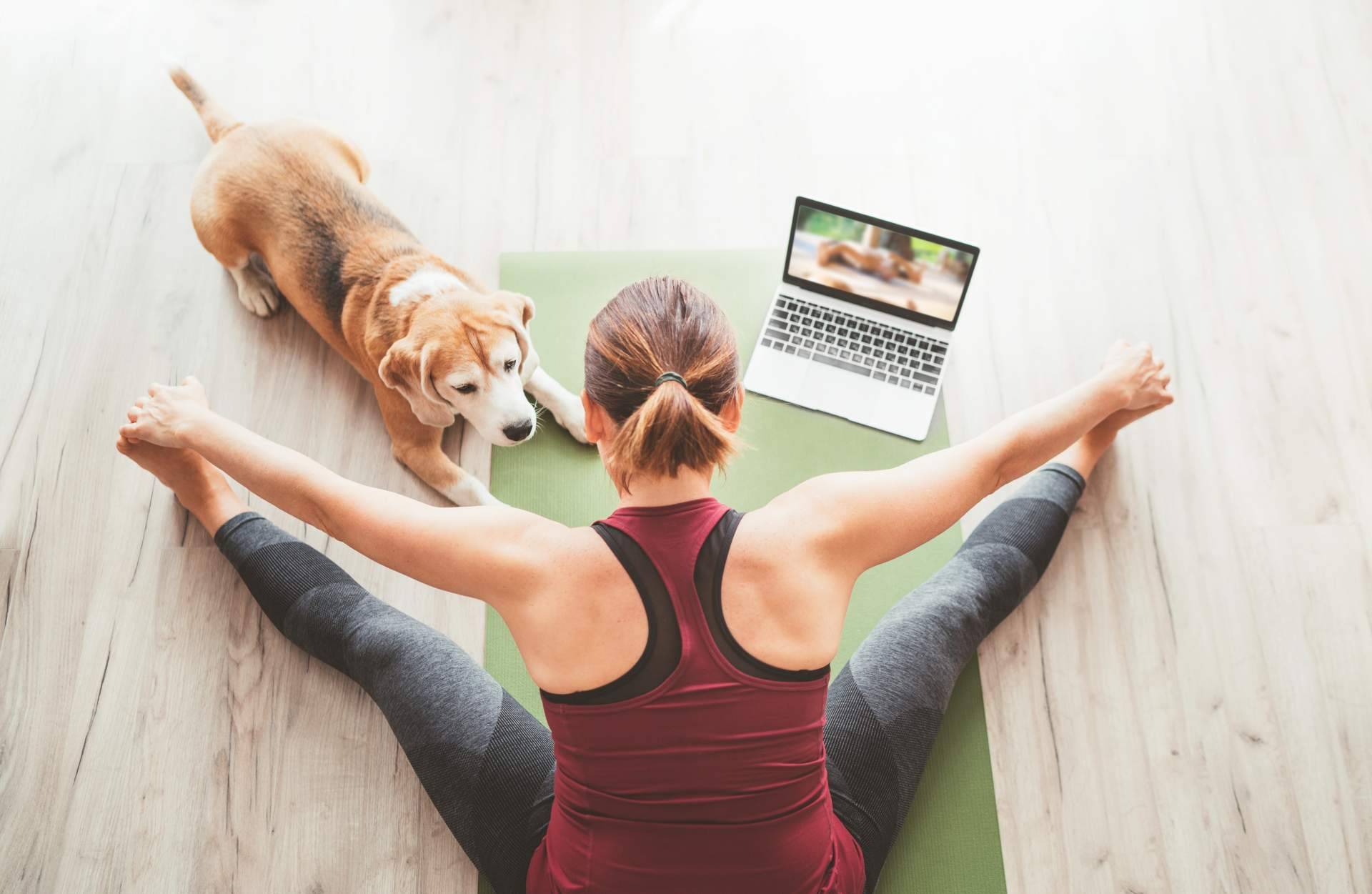 Entrenar fuerza desde casa de una forma divertida