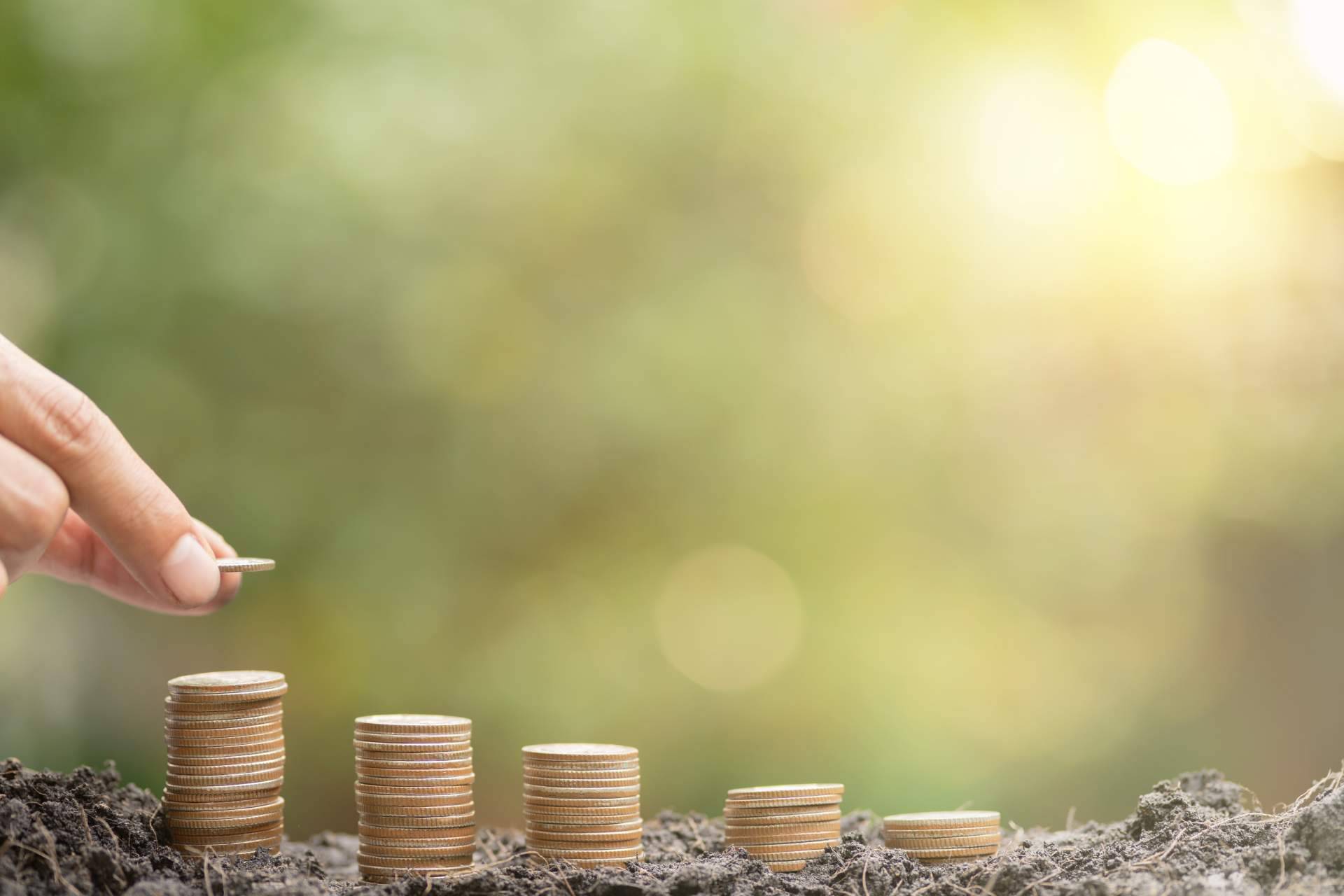 ¿Cómo evitar ciertos riesgos financieros en el negocio? Costes hormiga y clientes hormiga