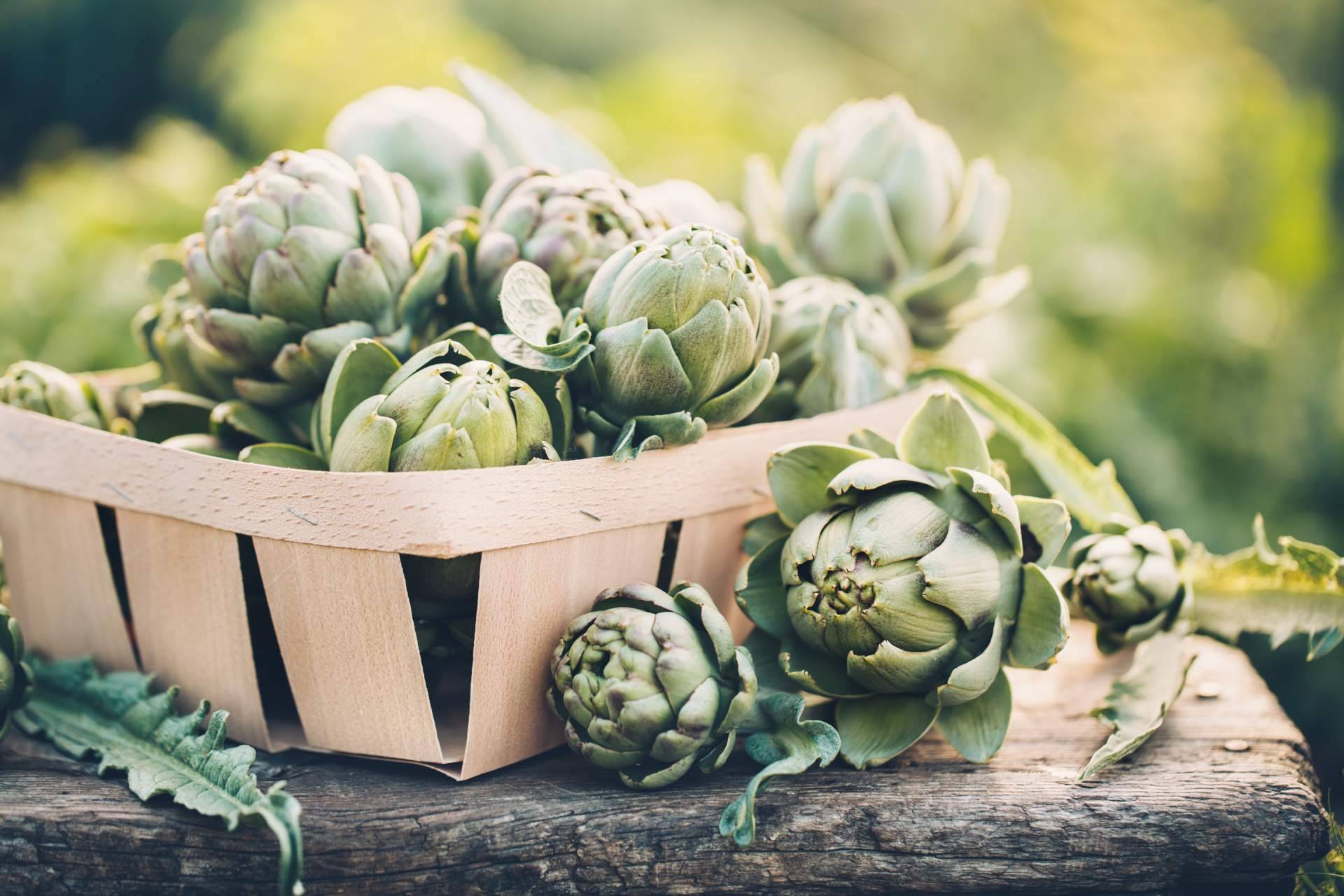 Novonatur presenta las propiedades de alcachofa como planta medicinal