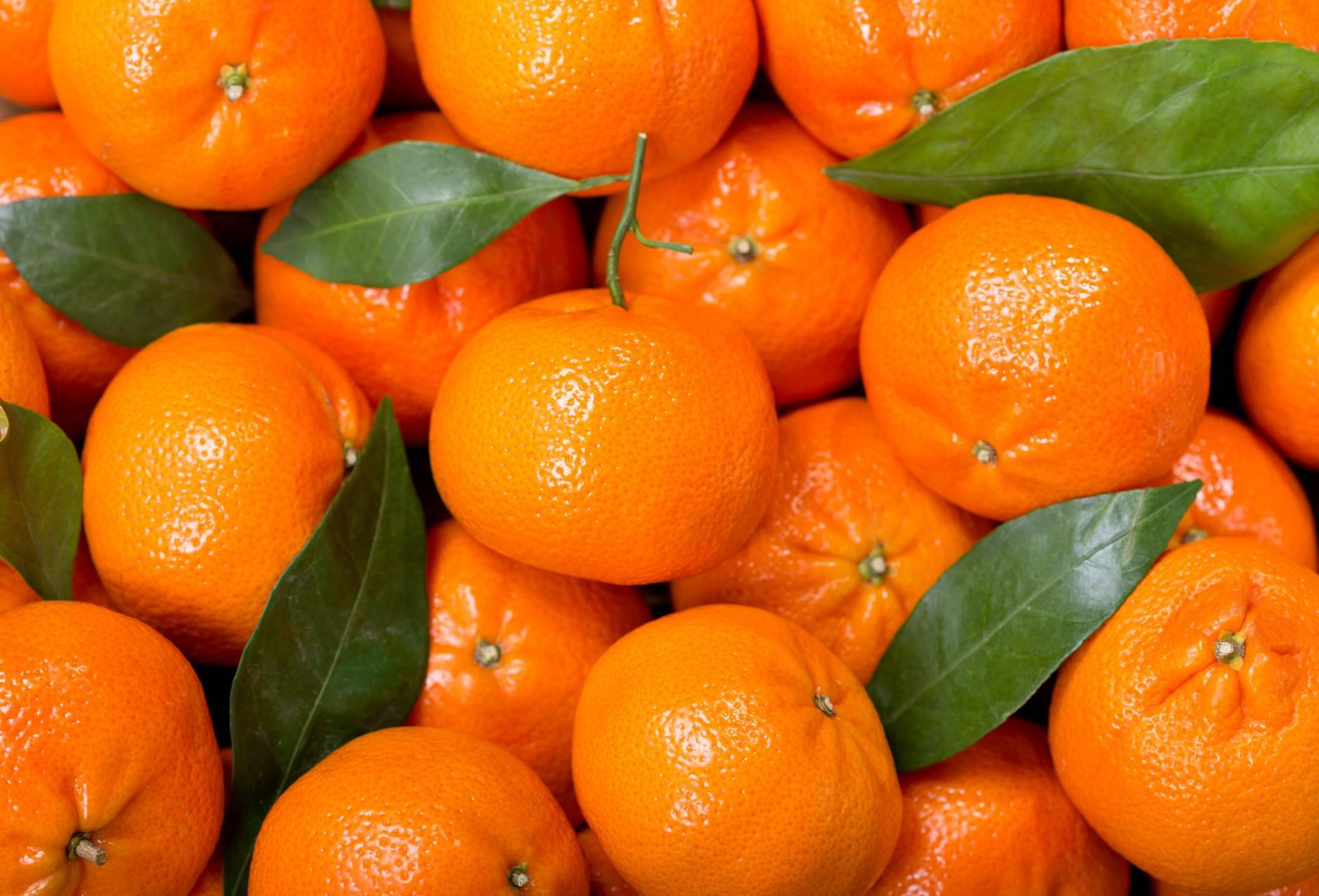¿Dónde comprar mandarinas de calidad? Finca el Carraixet