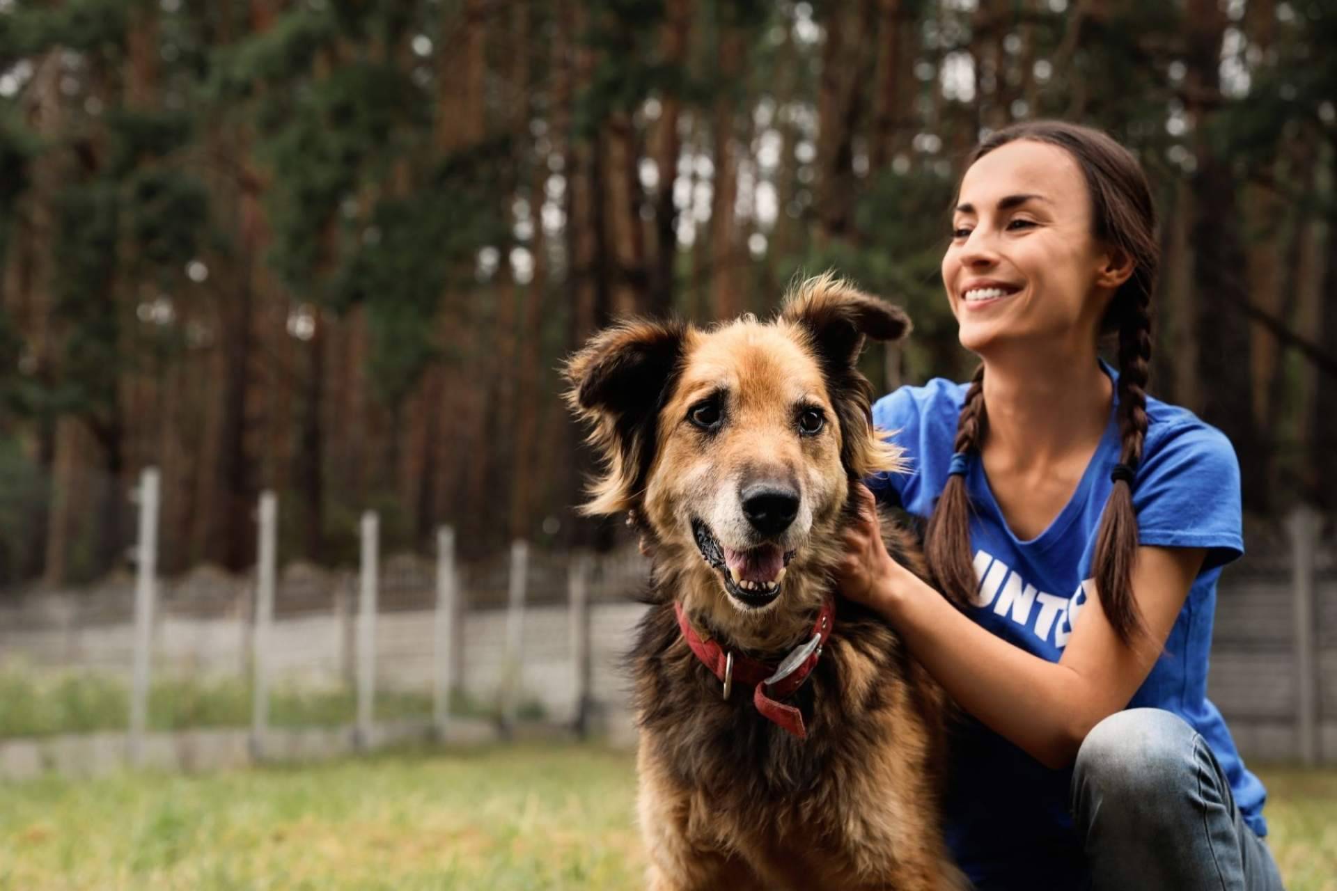 ¿Qué es un buscador de animales en adopción? Adopta Un Animal