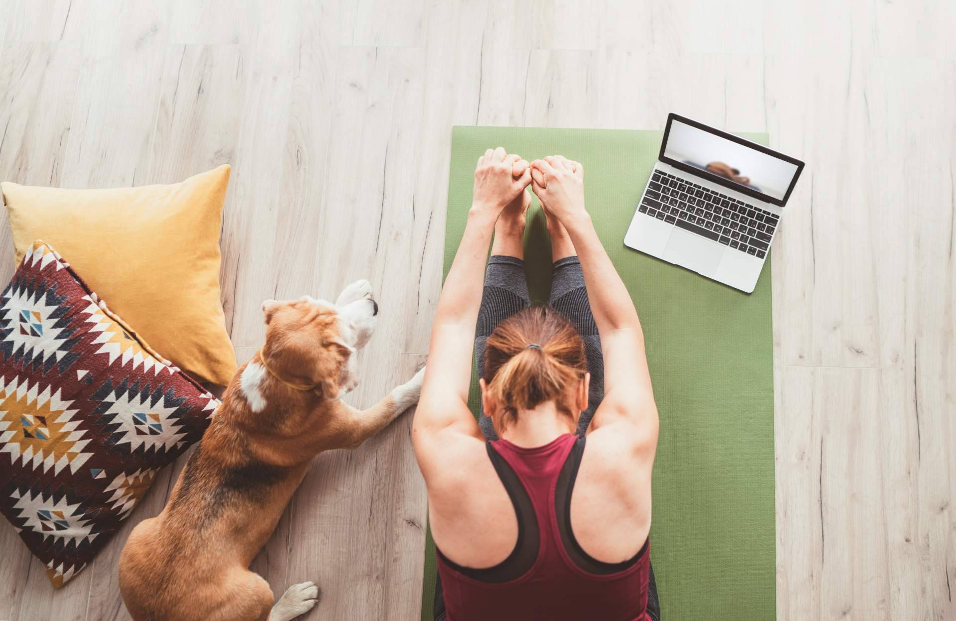 ¿Cómo es el curso online de profesor de yoga de la mano del Centro de Yoga Kavaalya?