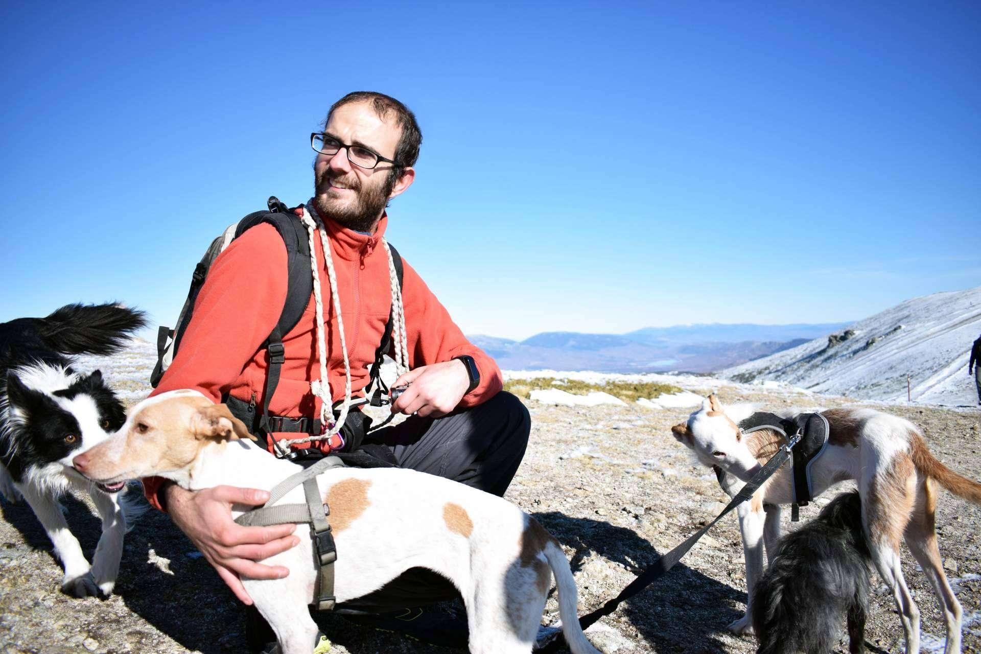 Educación para perros amable y respetuosa de la mano de David Lapido