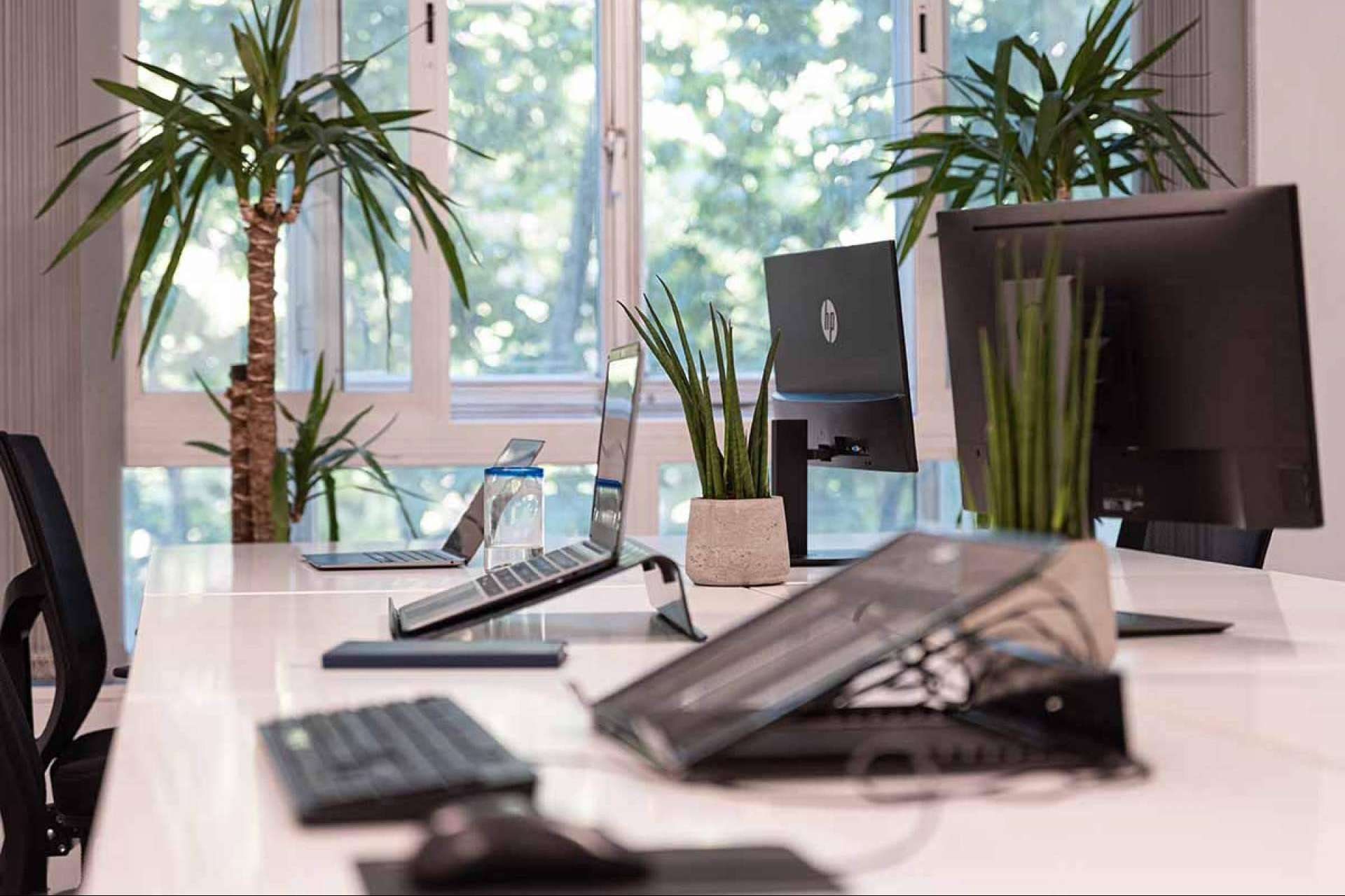 Las ventajas de tener una oficina virtual en OXYGEN coworking en Madrid