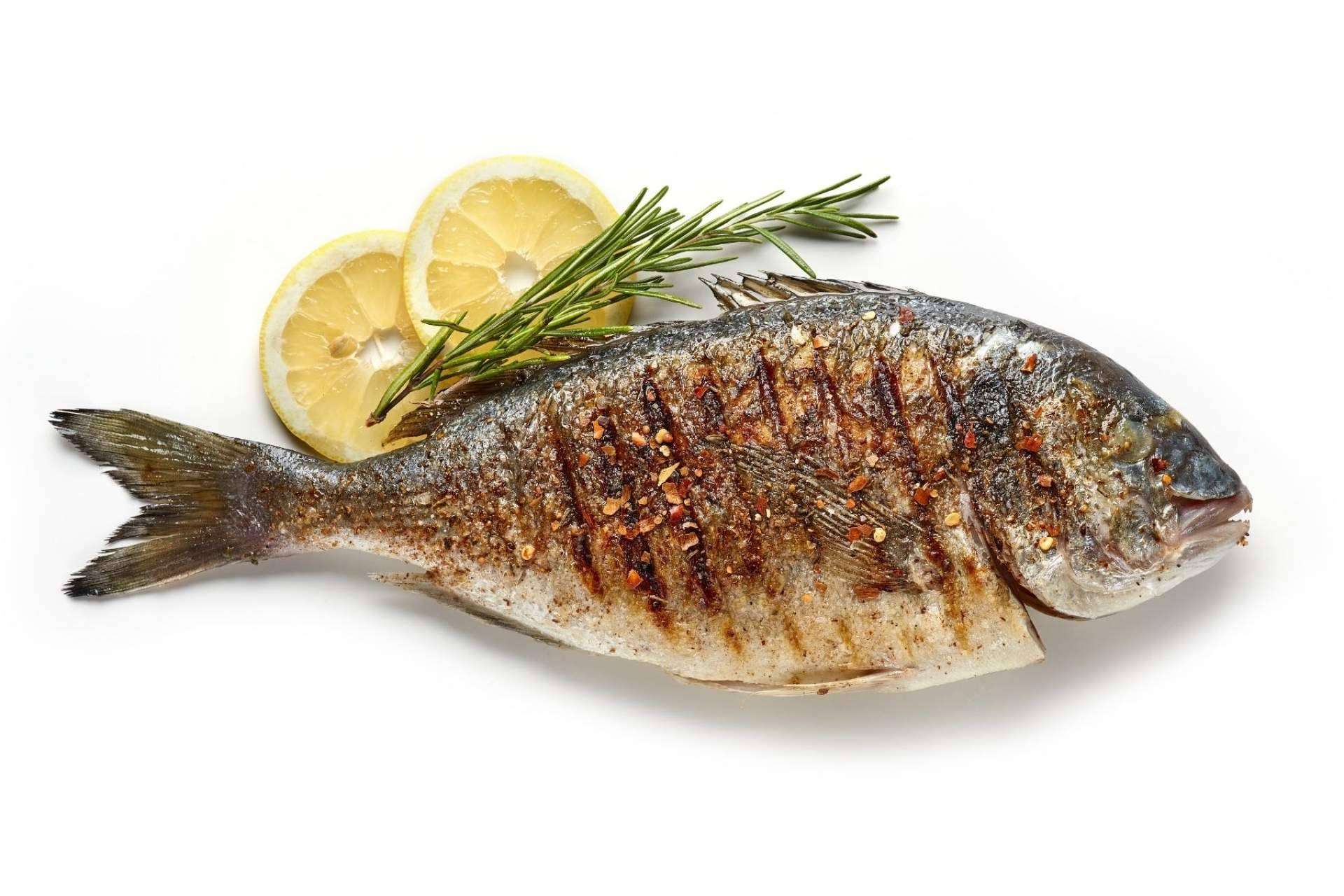 Comprarpescadoonline.es permite adquirir pescados, vinos, mariscos y moluscos