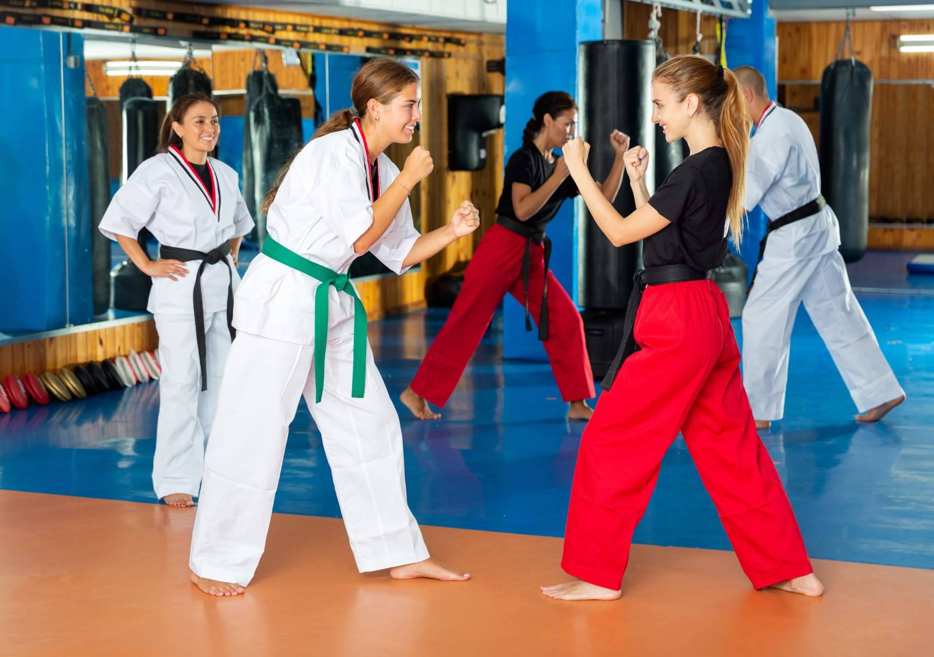 Curso de instructor de Mugendo, ¿cuáles son las opiniones?