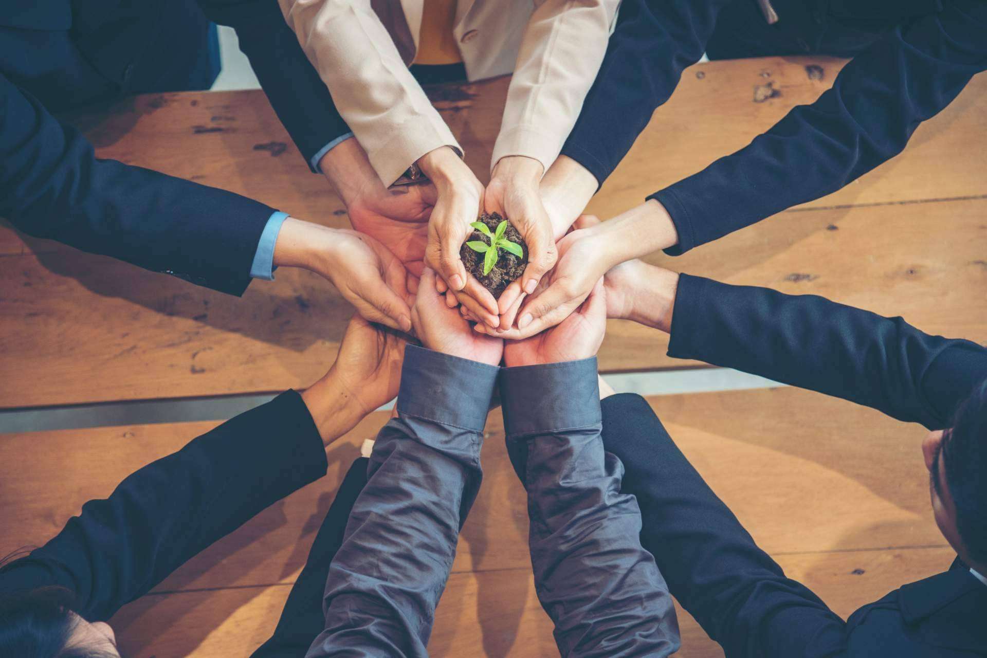 ¿Cómo crear cultura sostenible en una empresa?, por DoGood