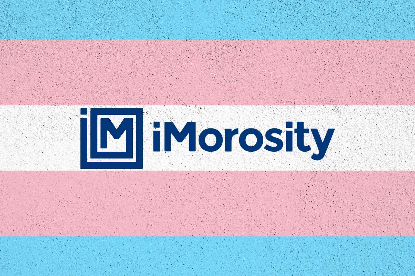 iMorosity apuesta por la diversidad sumándose como colaborador de la Asociación Home of Trans