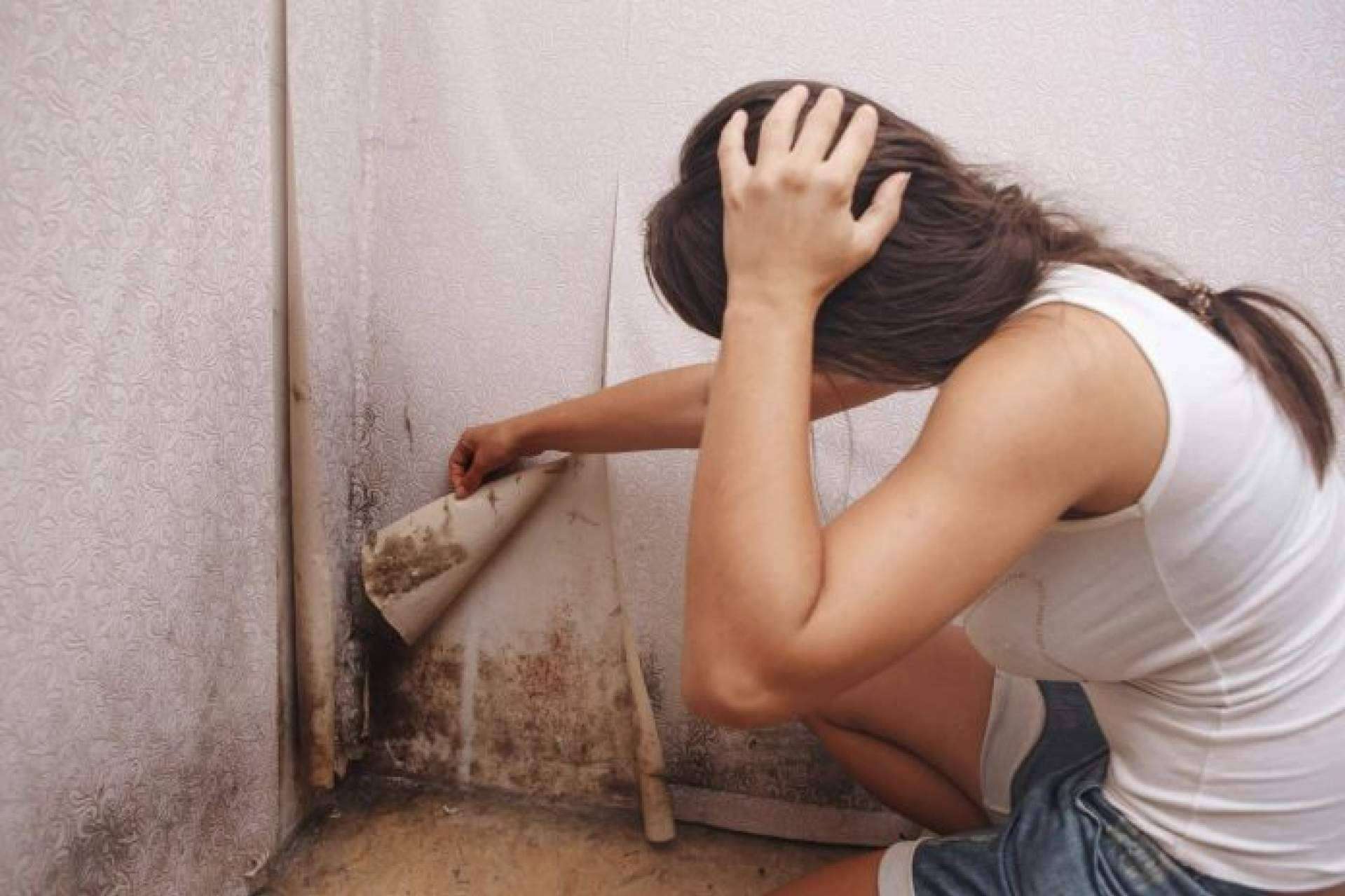 Preactiva dispone de sistemas para quitar la humedad de las paredes