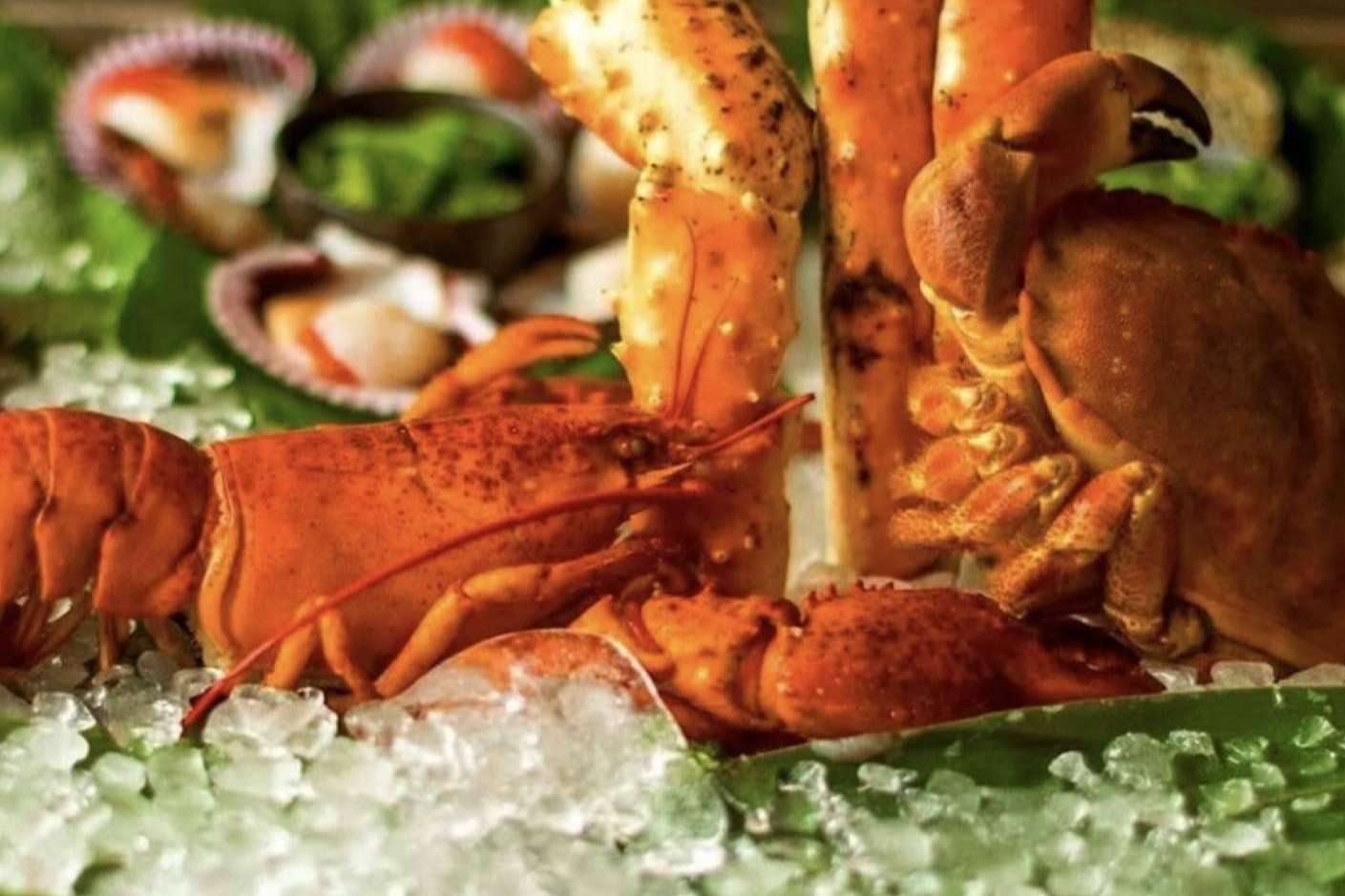 Vivir la experiencia de una cena y fiesta con Rumbita Barcelona