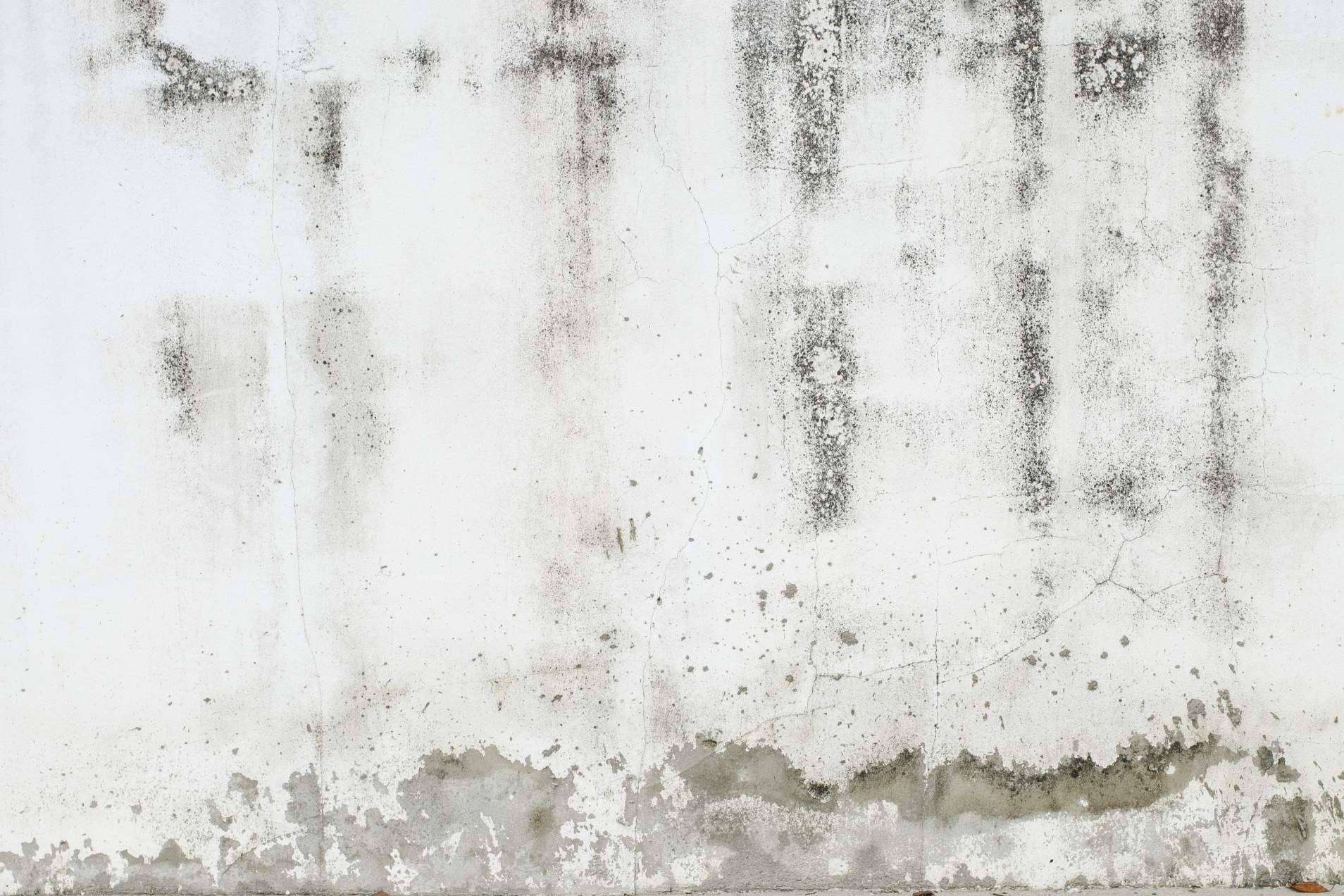 ¿Cómo acabar con las humedades en paredes? Preactiva
