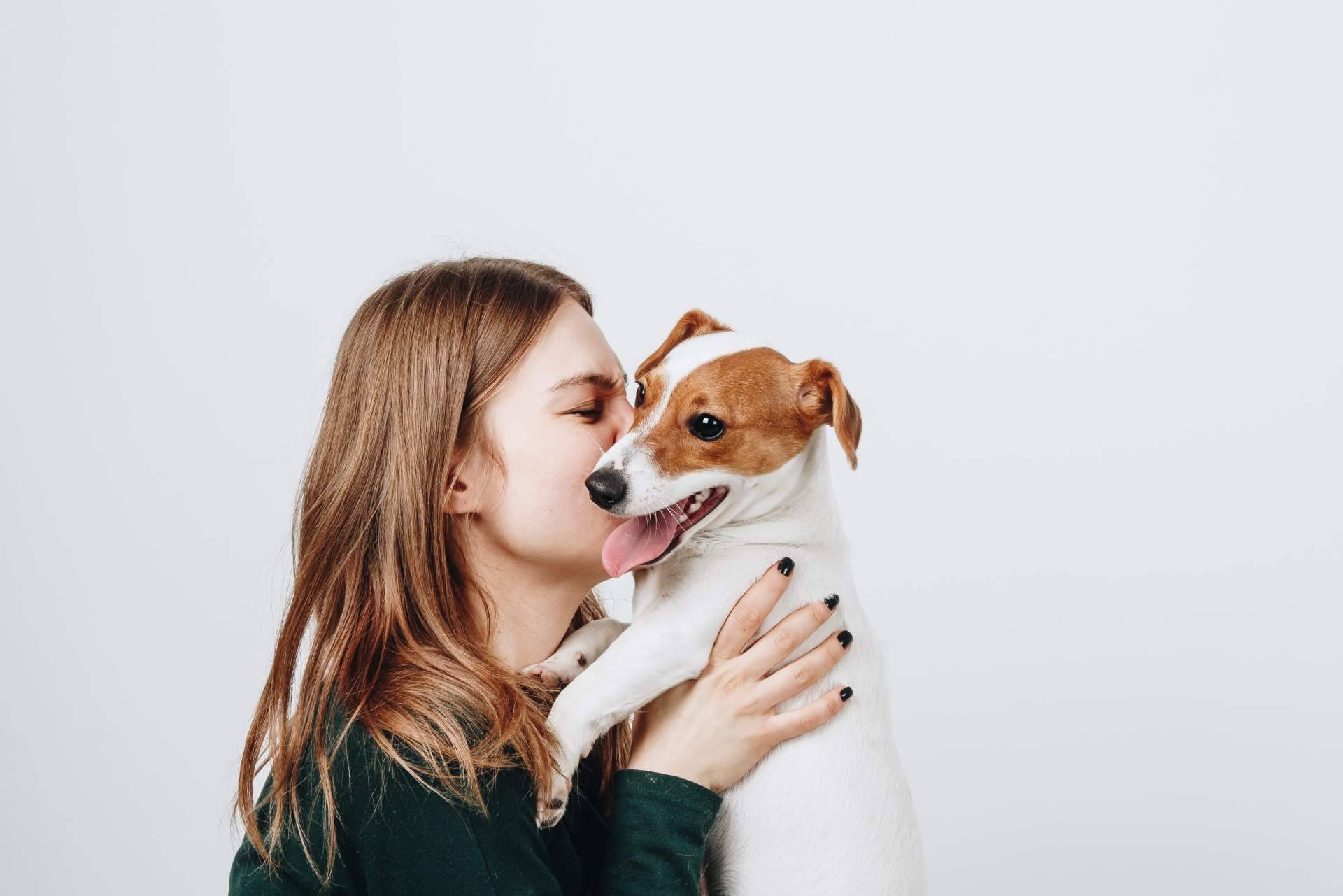 Profesionalizarse en el sector animales de compañía es imprescindible, por Antrozoologia.com