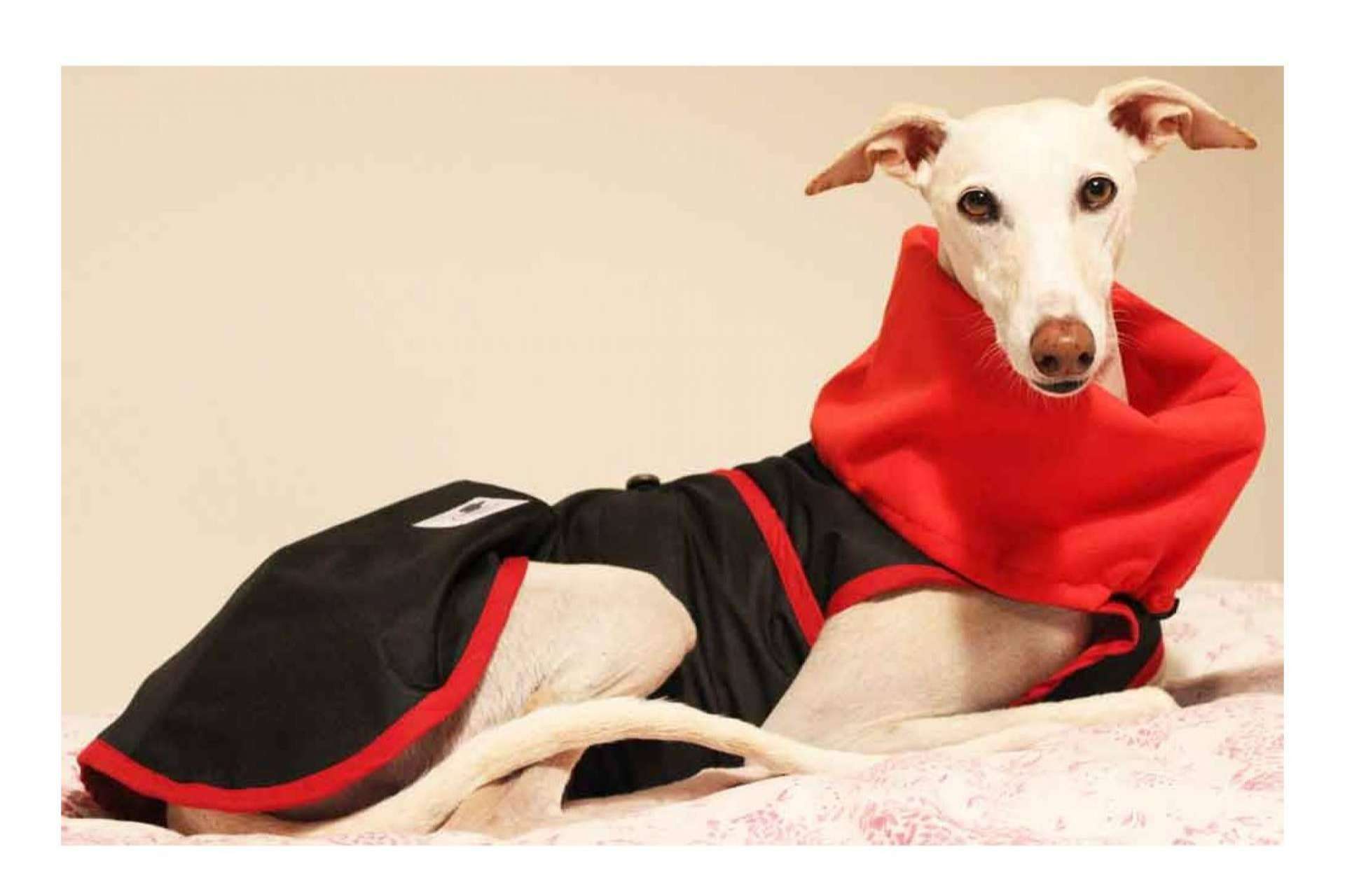 La parafarmacia Lucas & Lola vende accesorios exclusivos para mascotas