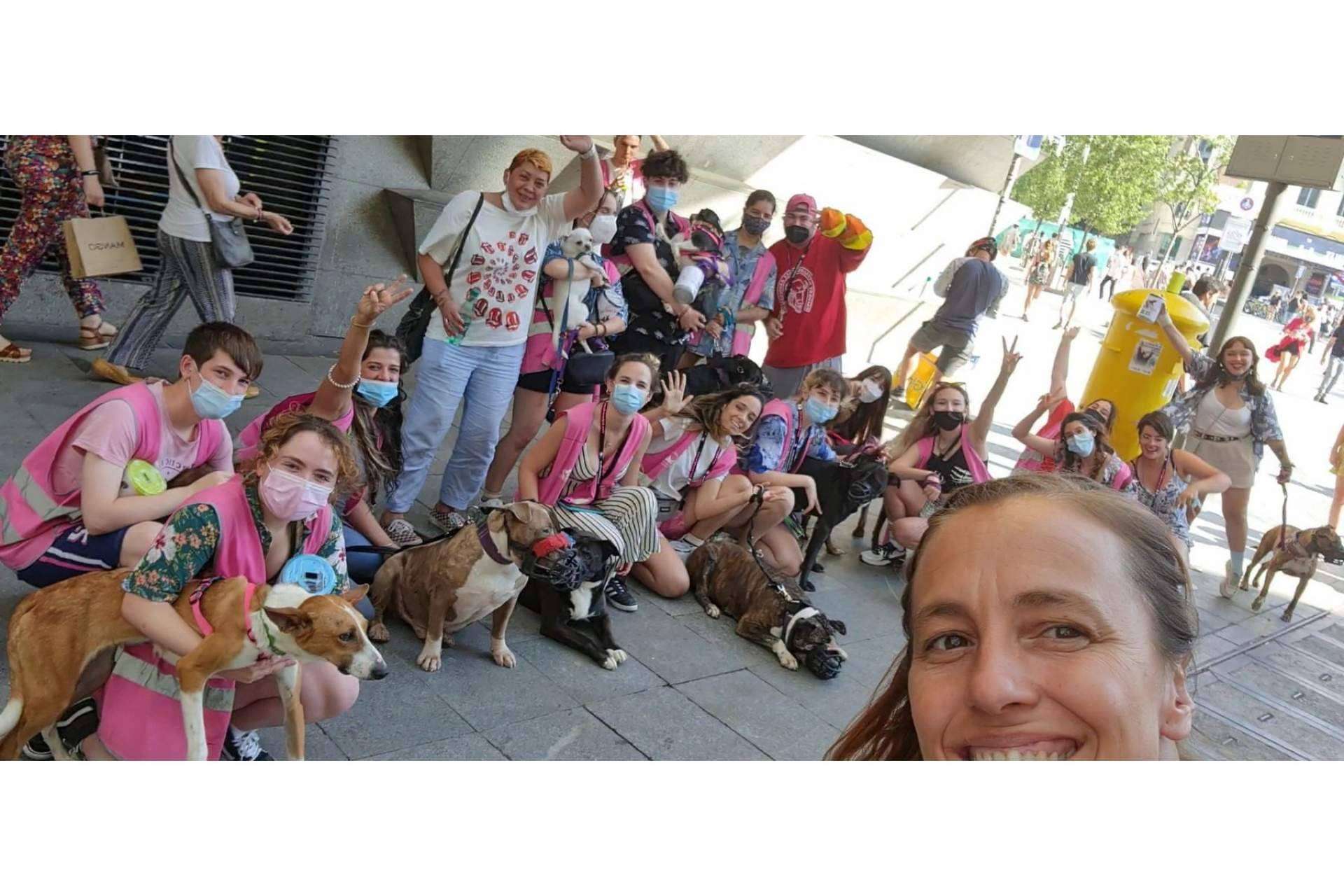 La guardería de día PERROBUENO en Madrid ofrece la oportunidad de ir de vacaciones para perros