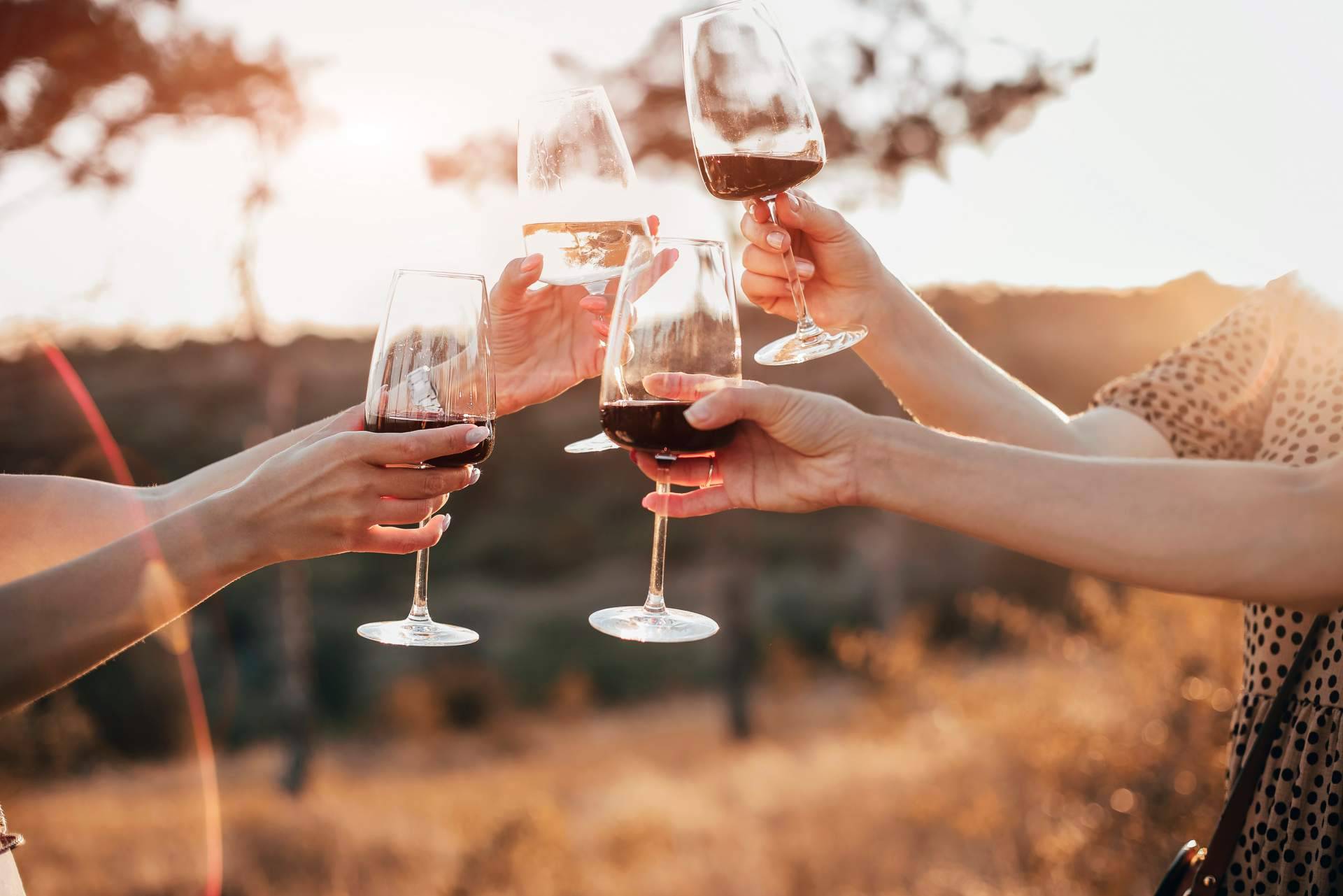 ¿Qué aspectos afectan al precio del vino tinto de Vinoenbox.com?