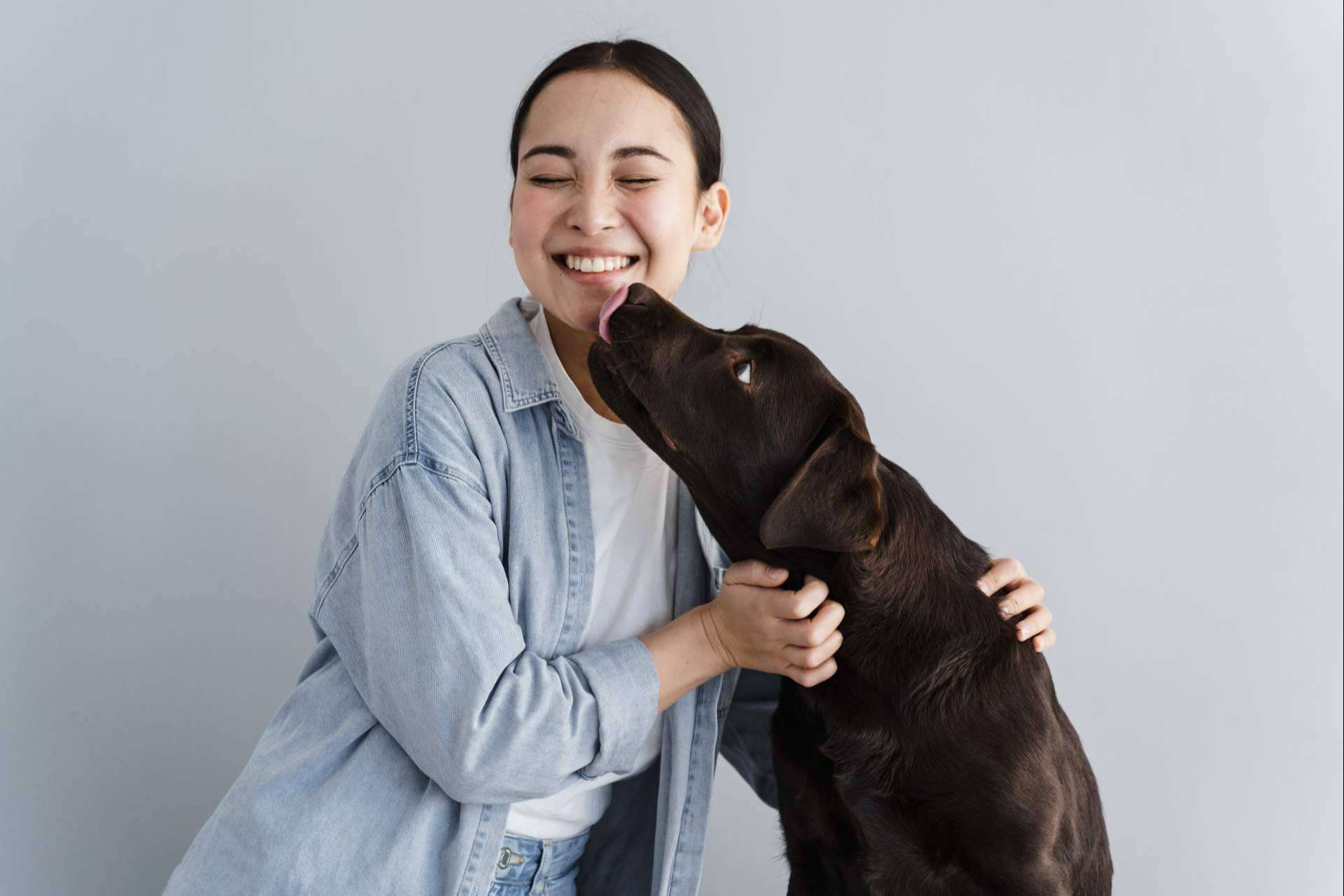 La elección del momento ideal para adoptar un perro