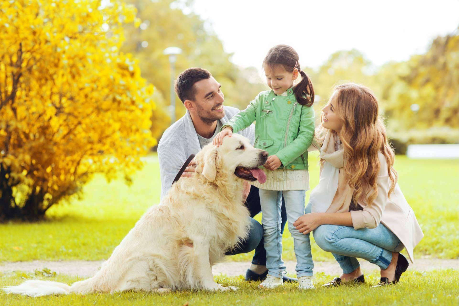 Los seguros de mascotas para perros y gatos de Barkibu