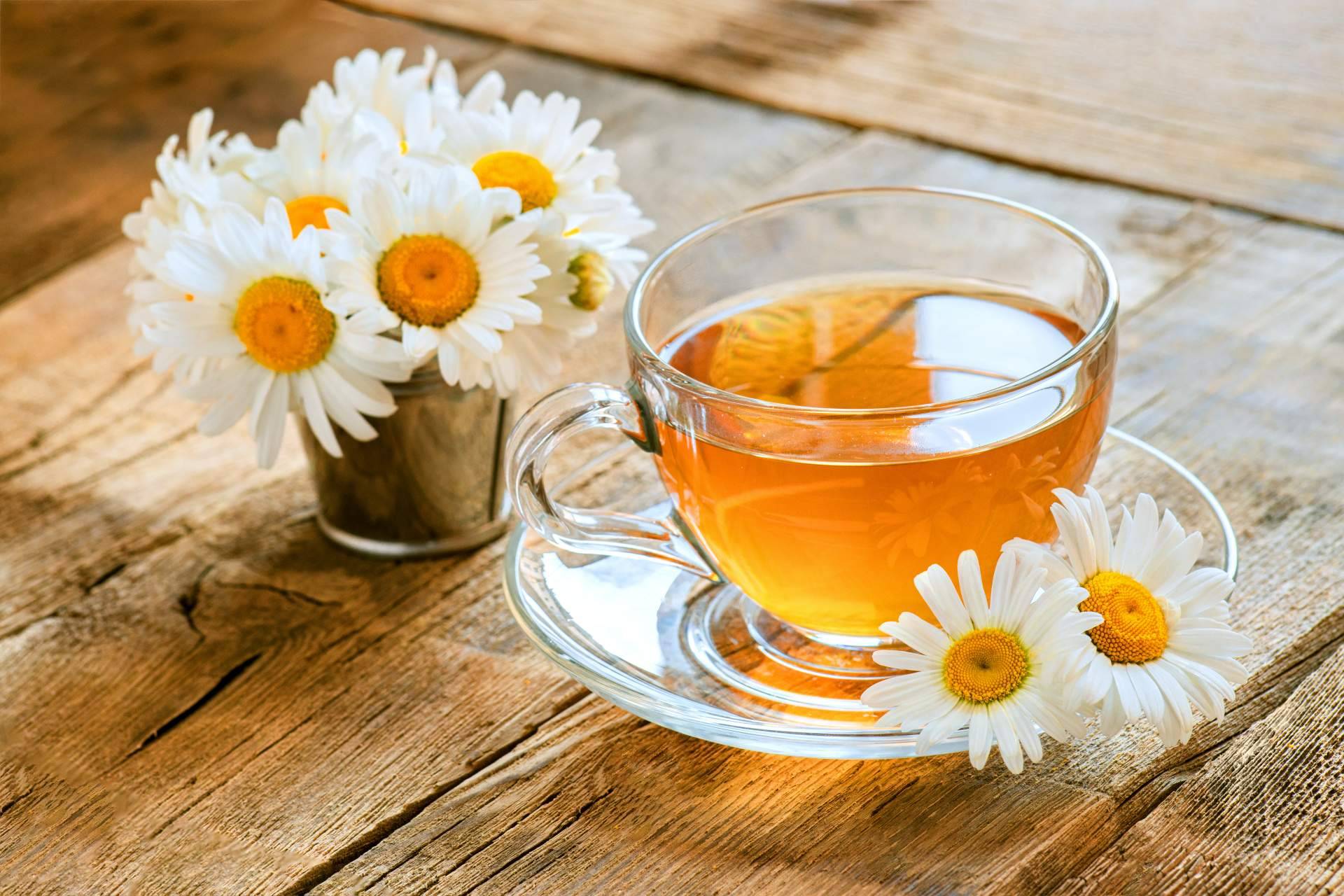Los beneficios de las infusiones naturales y las tisanas, por Ledma Café y Té