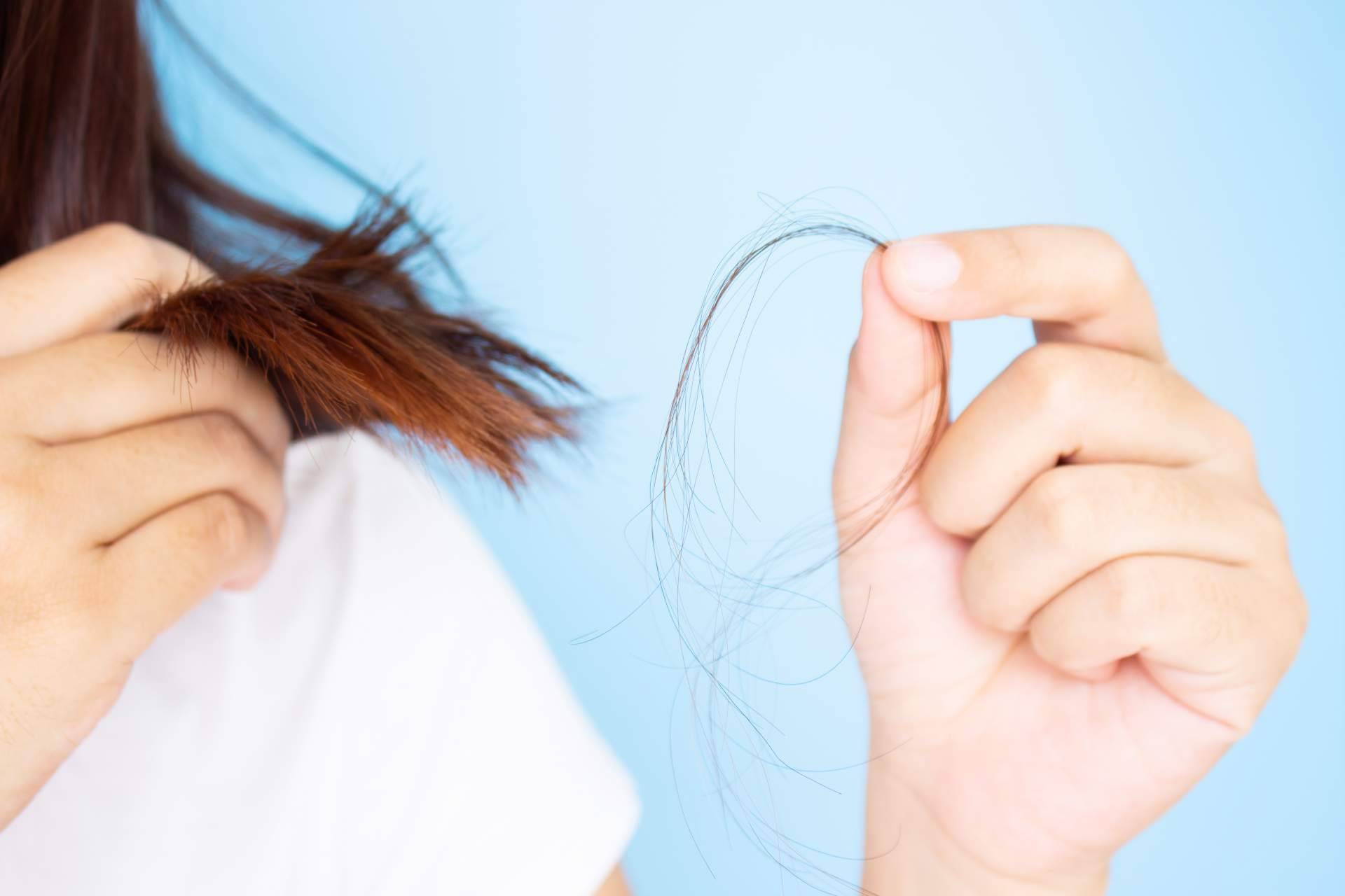 ¿Cuáles son las principales razones de la caída del cabello en otoño?, con Bibefy