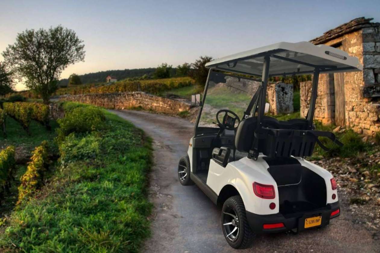 Adquirir el buggy eléctrico matriculable de Electric Car Convert