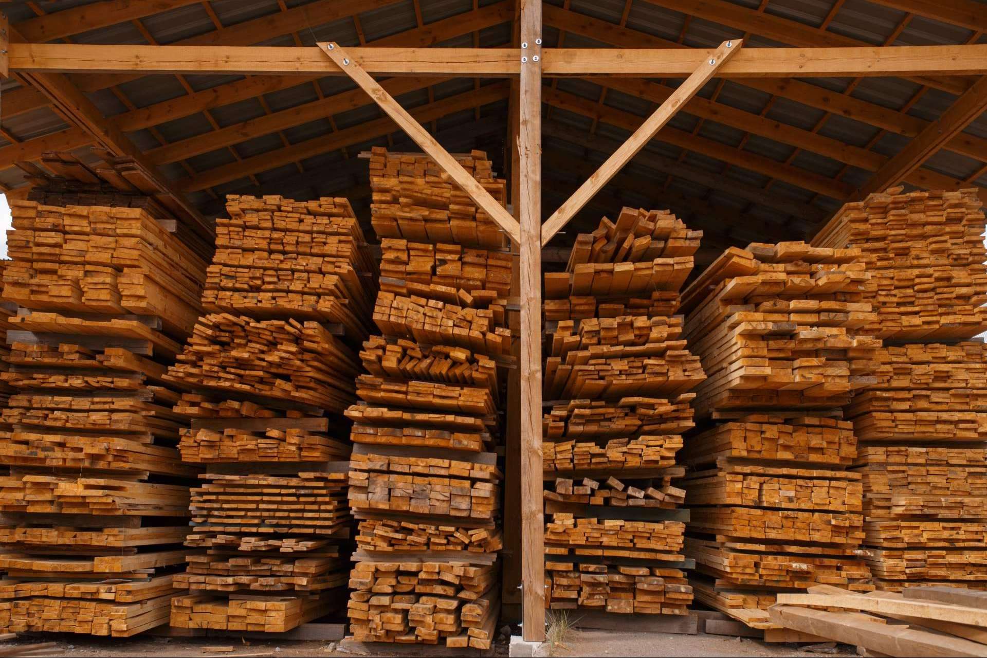 Por qué la madera es un material ecofriendly, por Maderas Gámez