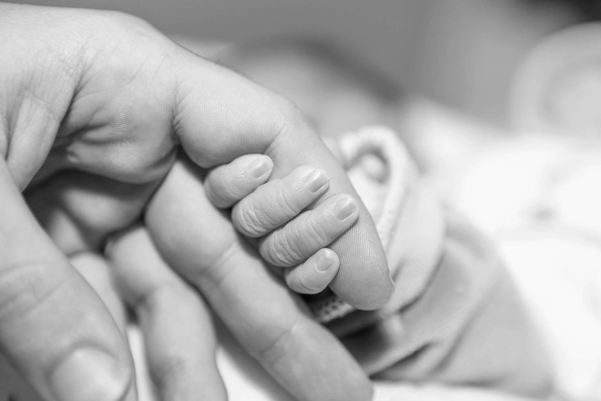 El despacho Rafael Martín Bueno está compuesto por especialistas en negligencias médicas