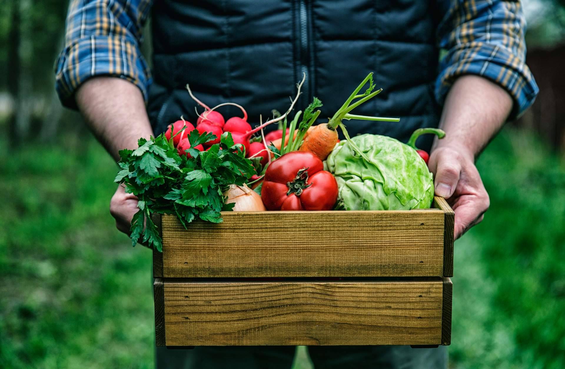 El crecimiento de la necesidad de apostar por la alimentación ecológica