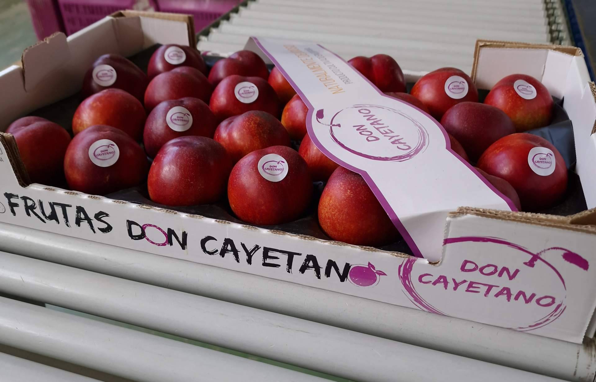 La empresa española Frutas Don Cayetano sigue en expansión