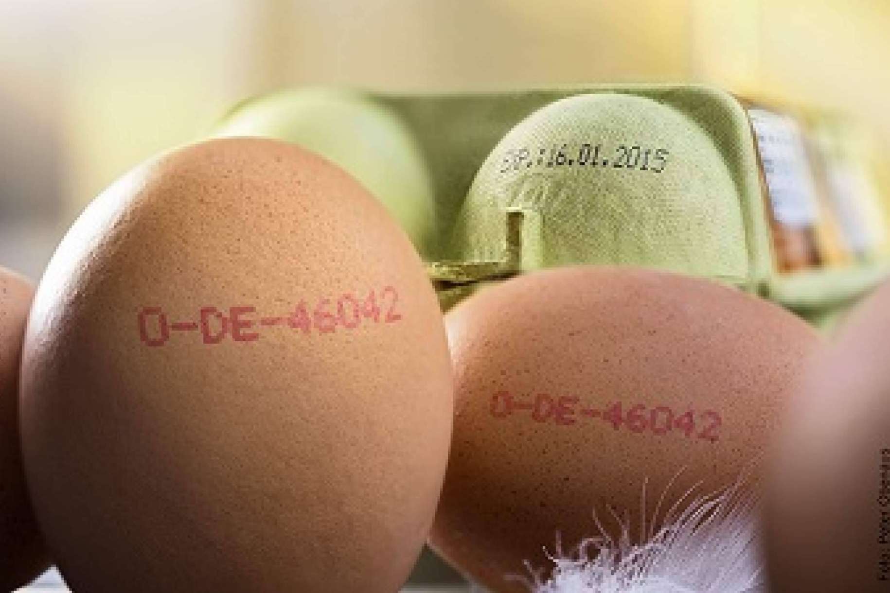 La relevancia de la trazabilidad ante una alerta alimentaria