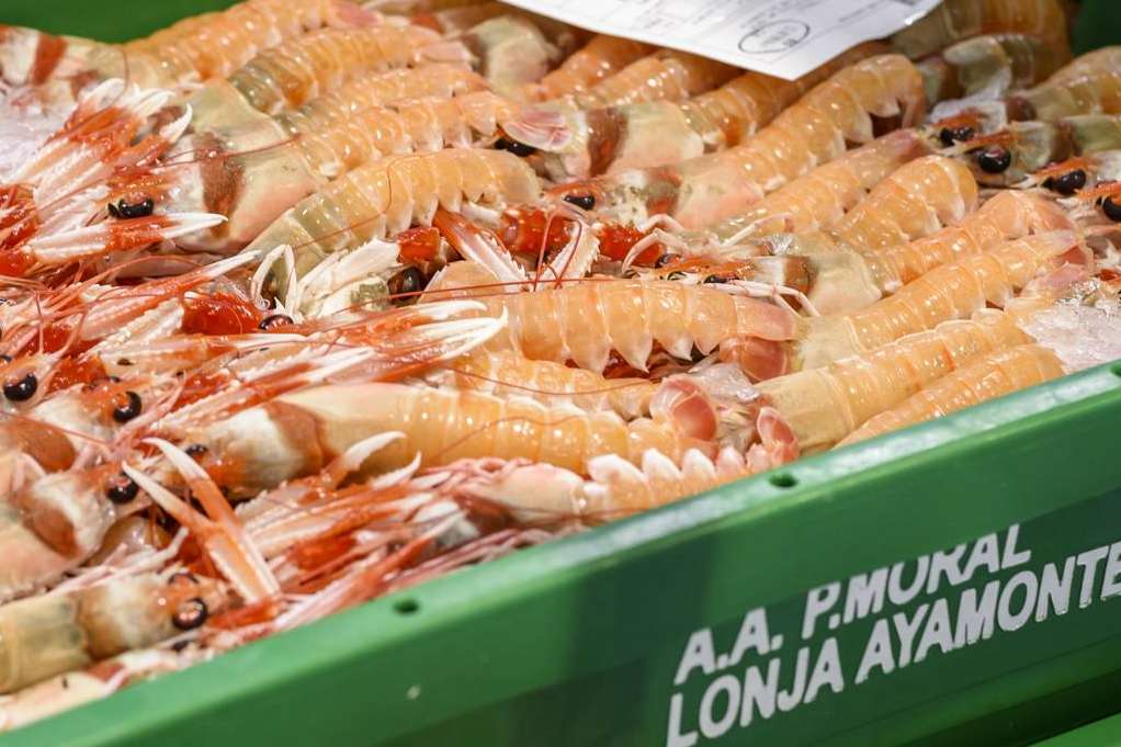 Lonja de Ayamonte expone los principales beneficios de consumir cigalas