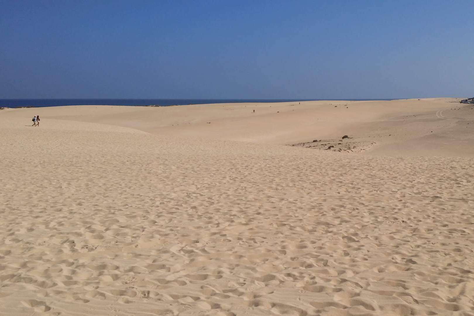 Algunas de las mejores excursiones en Fuerteventura, disponibles en OKFuerteventura, un aliado ideal