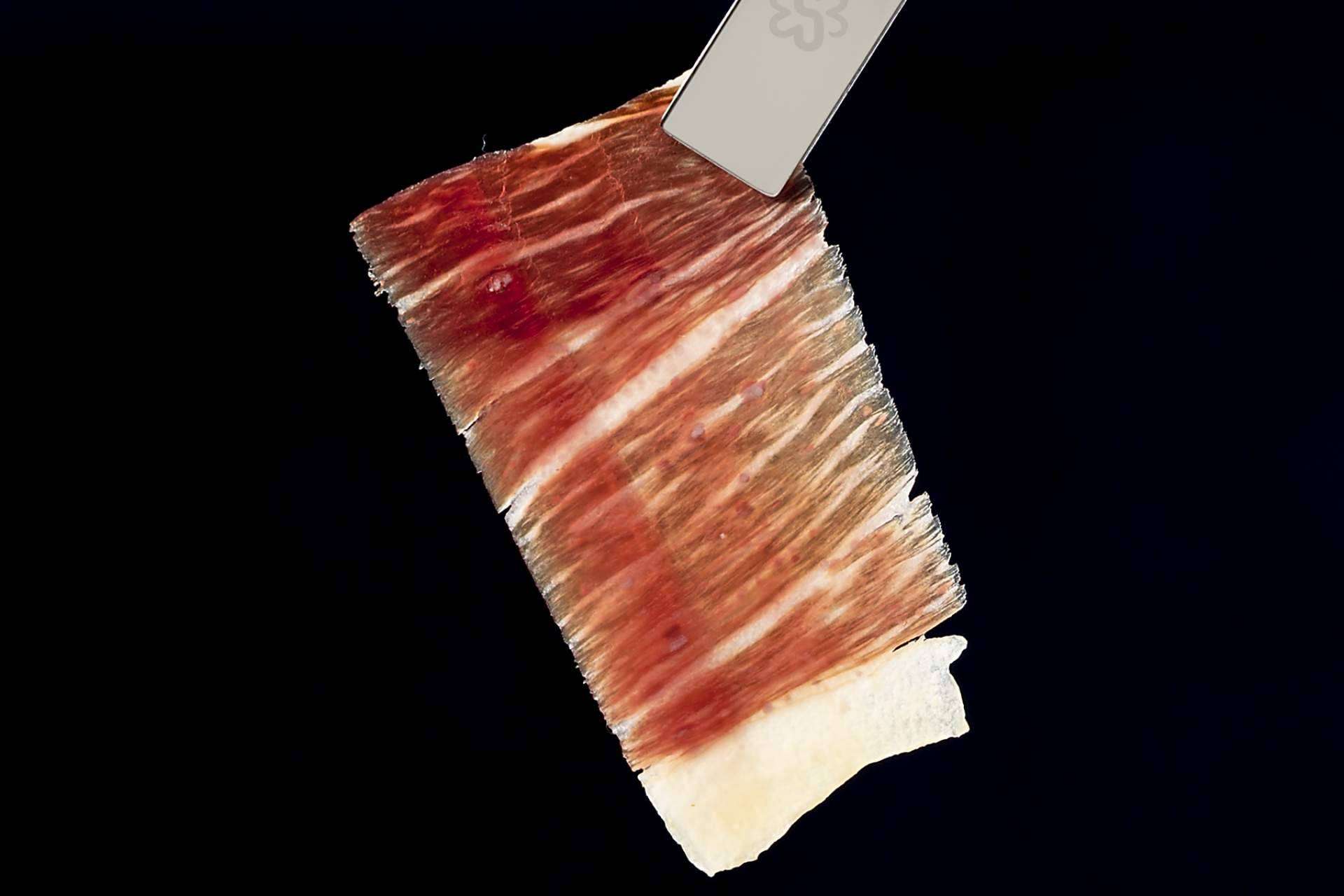 Disfrutar del auténtico jamón ibérico con los loncheados de bellota de Segundín