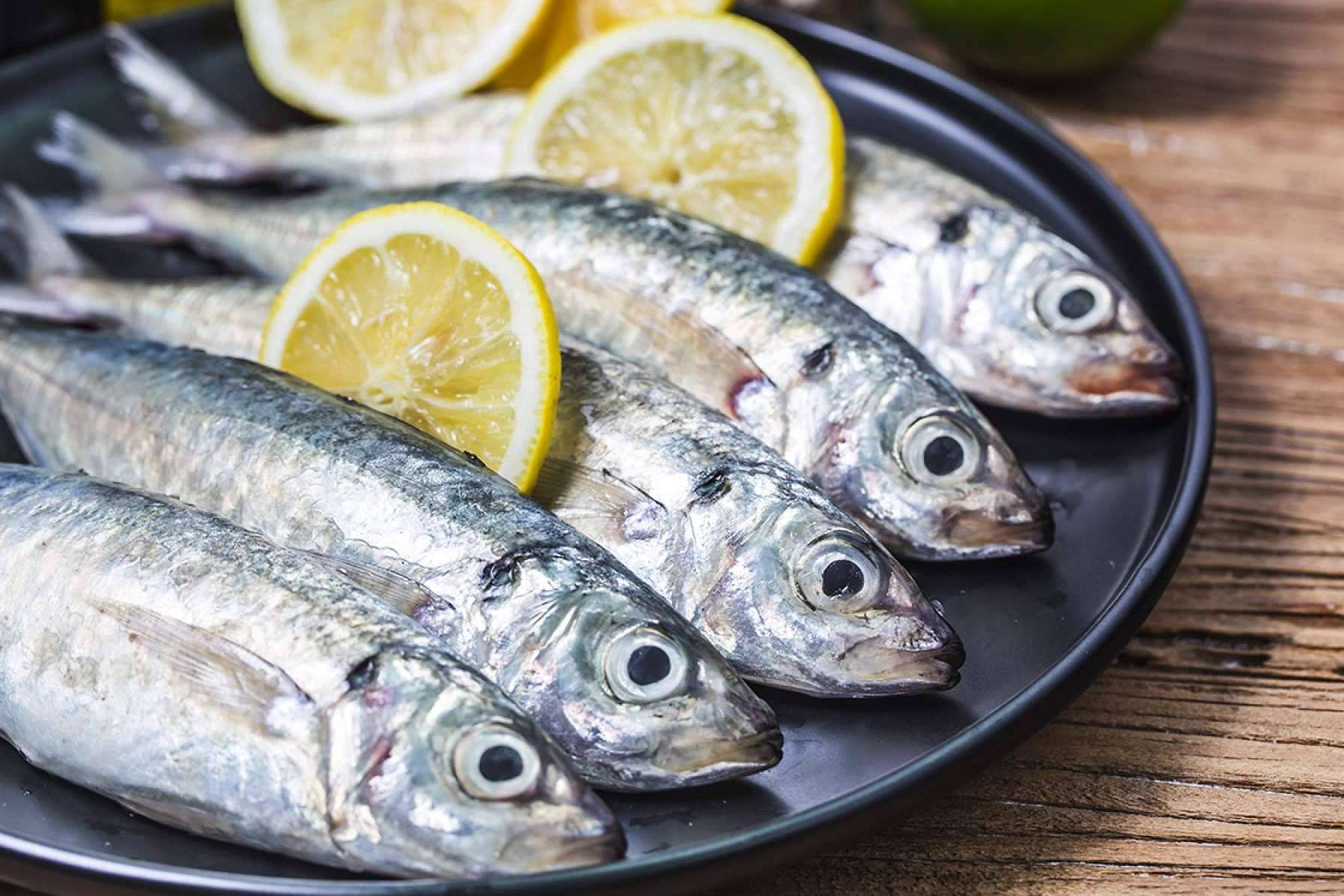 Lonja de Ayamonte sobre las novedades de su pescado de lonja