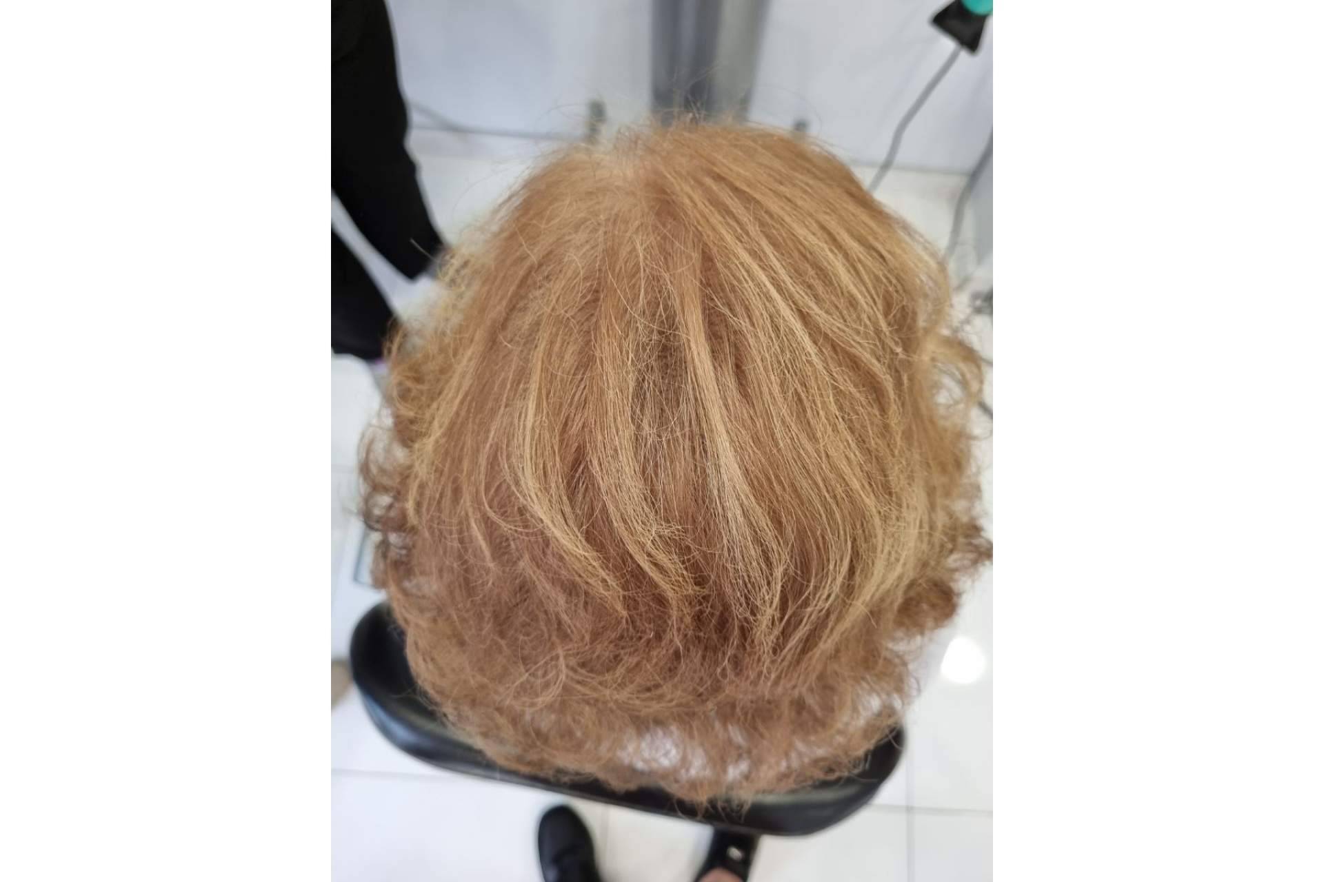 Lion Hair, ¿qué son las fibras capilares?